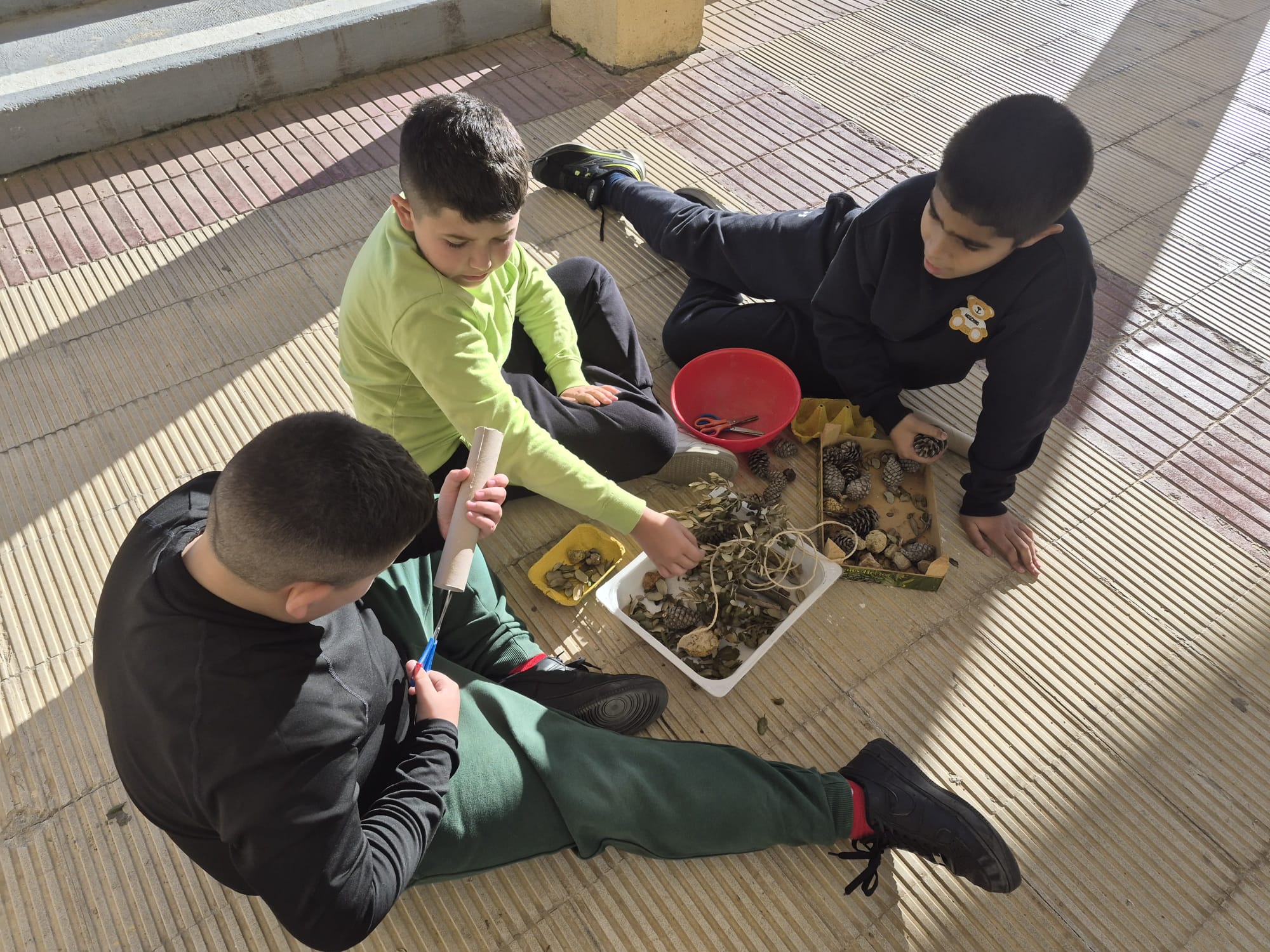 WhatsApp Image 2026-02-06 at 11.45.55