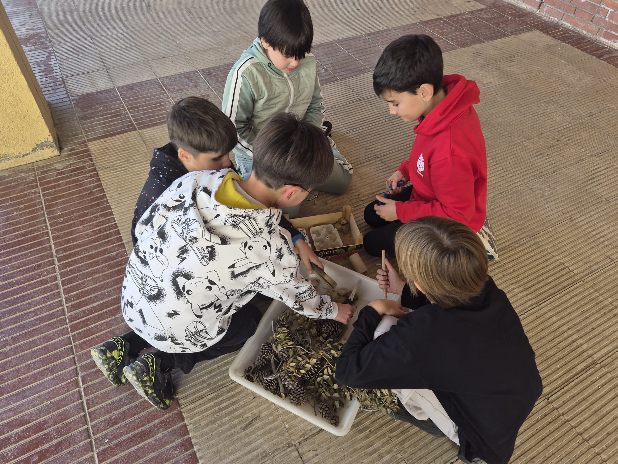 WhatsApp Image 2026-02-06 at 11.45.55k