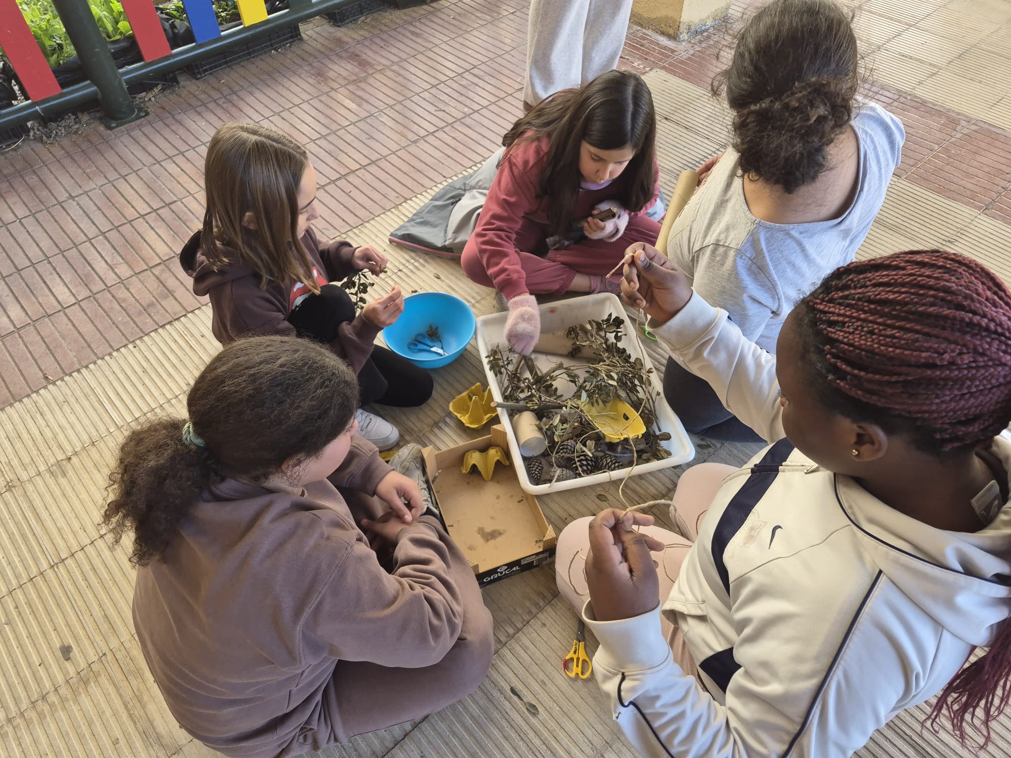 WhatsApp Image 2026-02-06 at 11.45.56