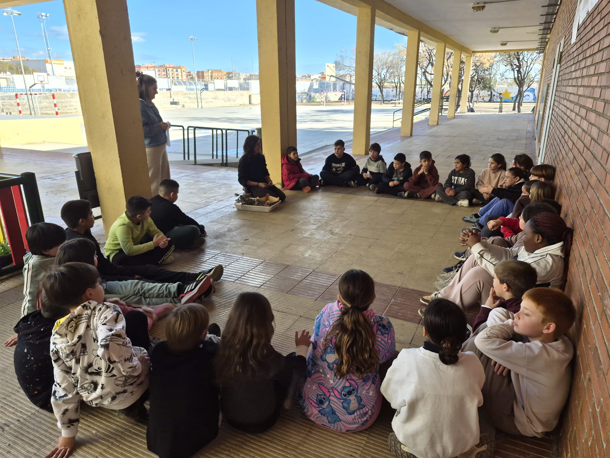 WhatsApp Image 2026-02-06 at 11.45.57