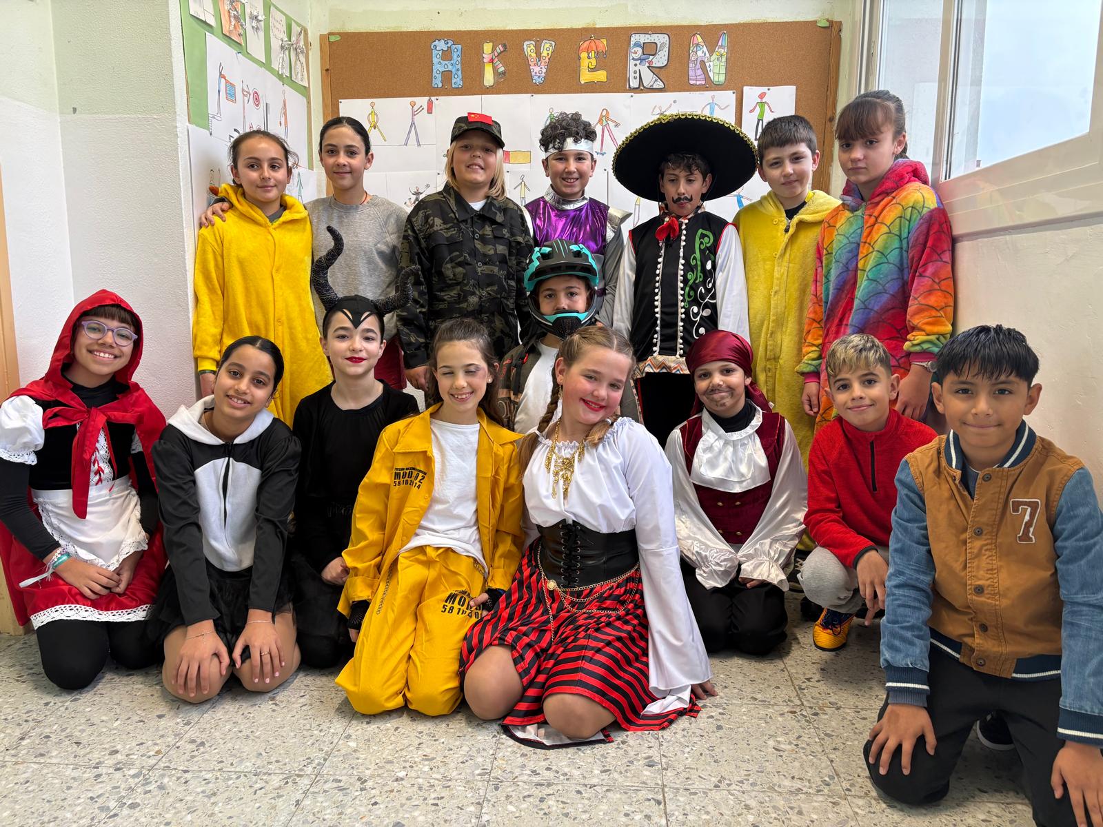 WhatsApp Image 2026-02-13 at 11.09.43