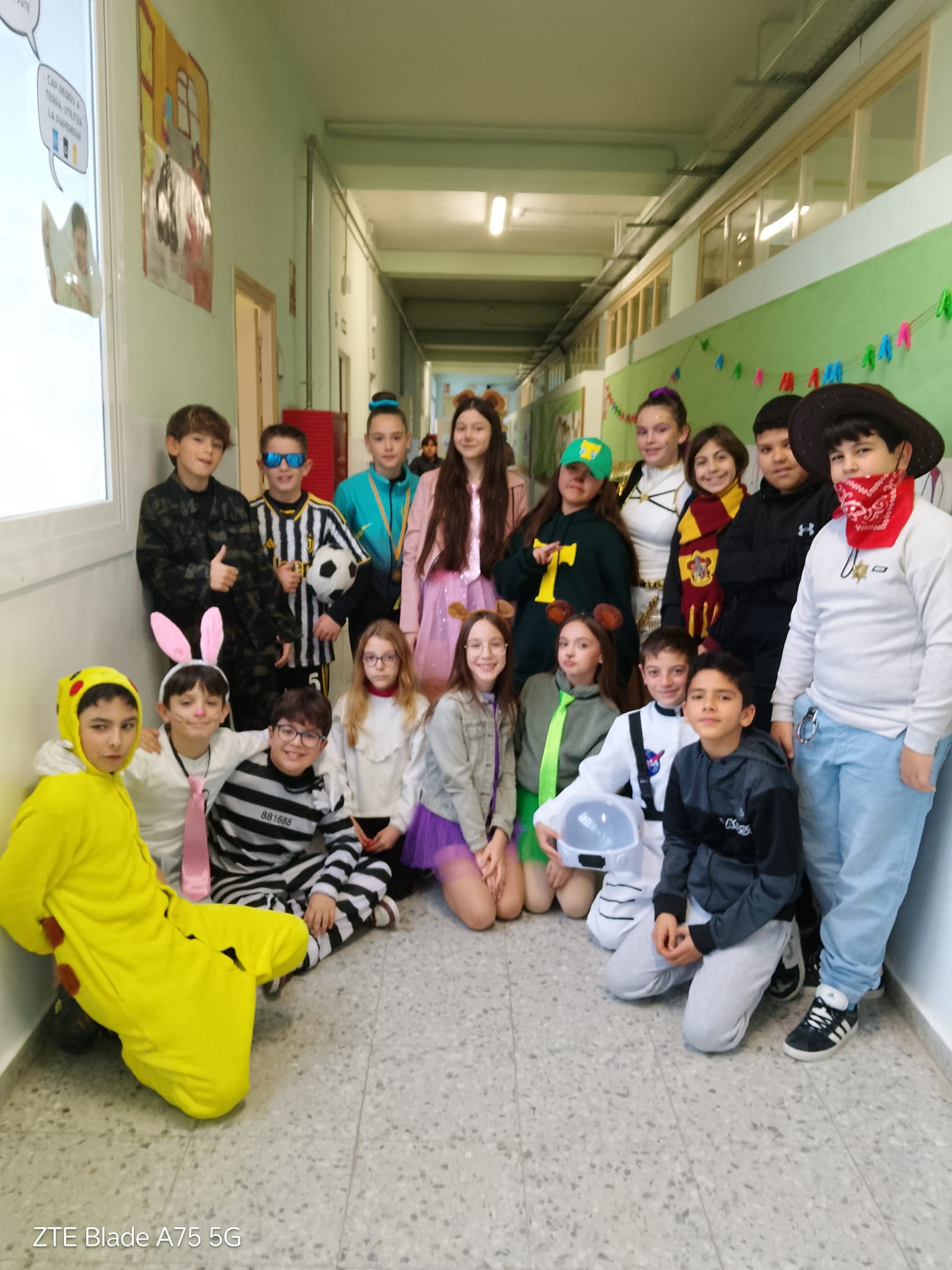 WhatsApp Image 2026-02-13 at 11.19.03