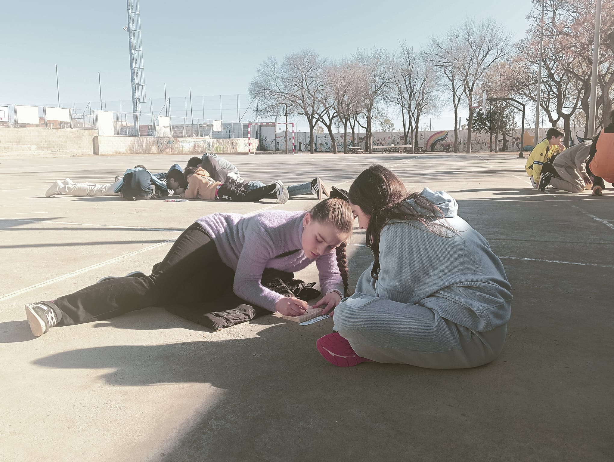 WhatsApp Image 2026-02-18 at 15.35.09