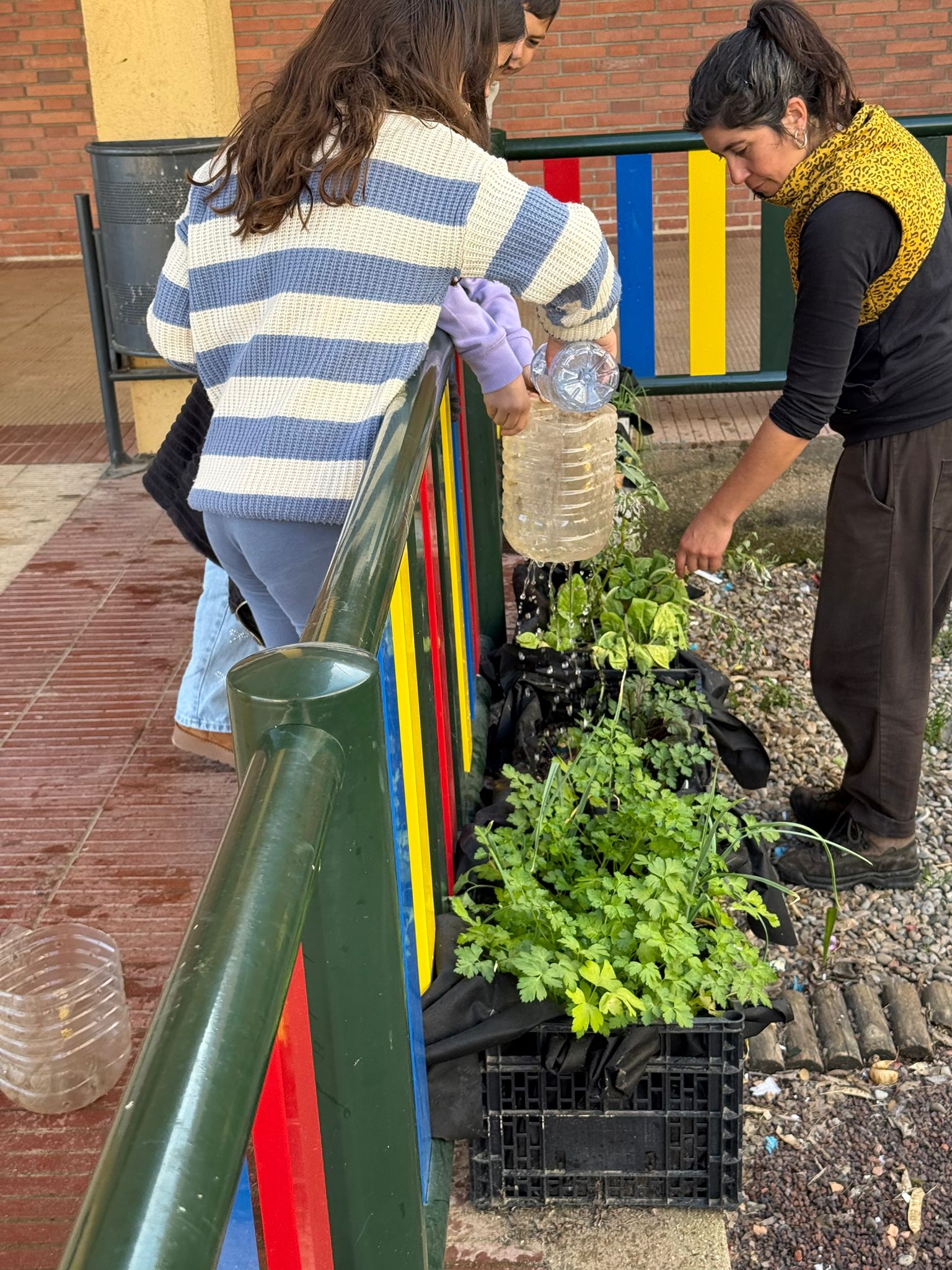 WhatsApp Image 2026-02-25 at 16.18.37gf