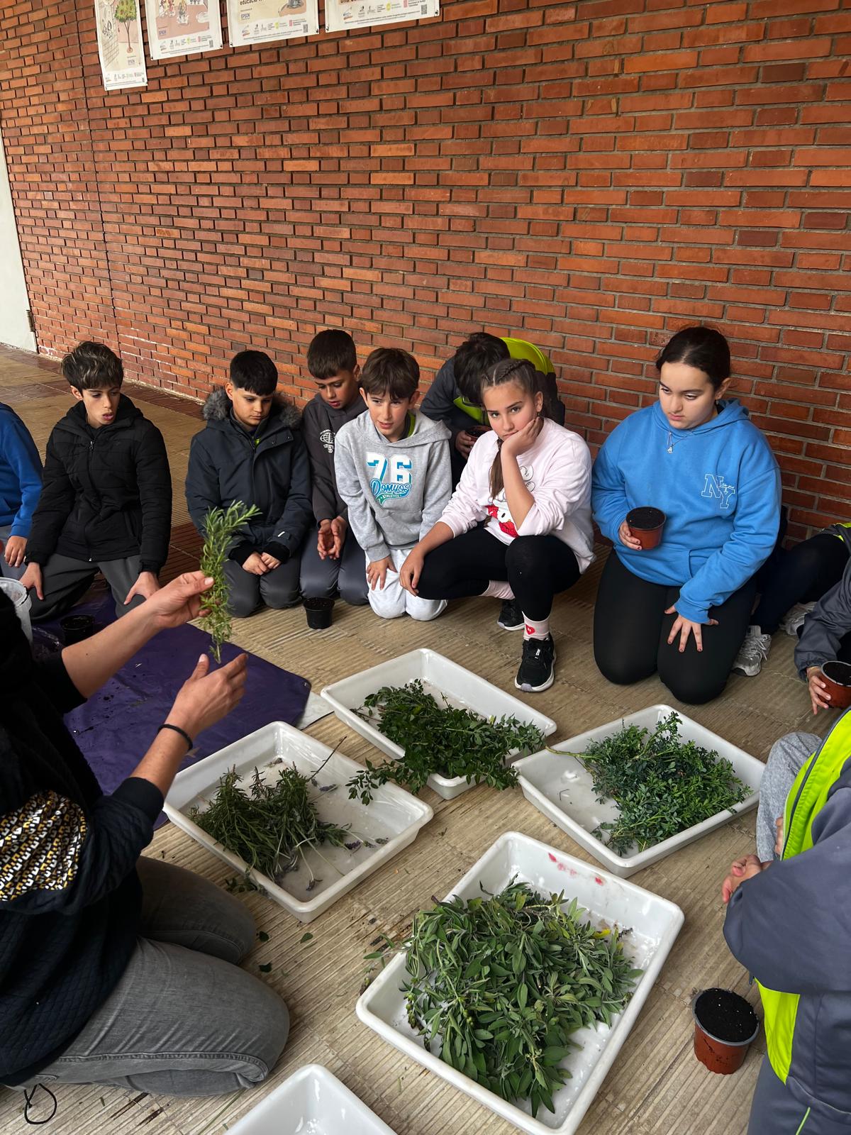 WhatsApp Image 2026-03-03 at 15.21.57 2