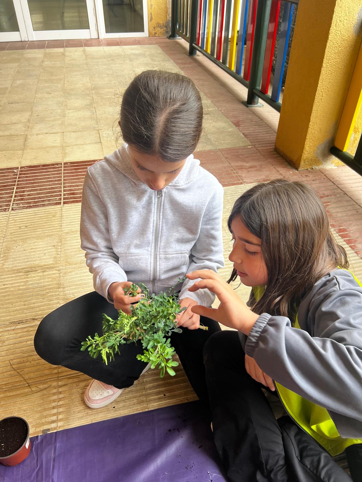 WhatsApp Image 2026-03-03 at 15.21.57 3