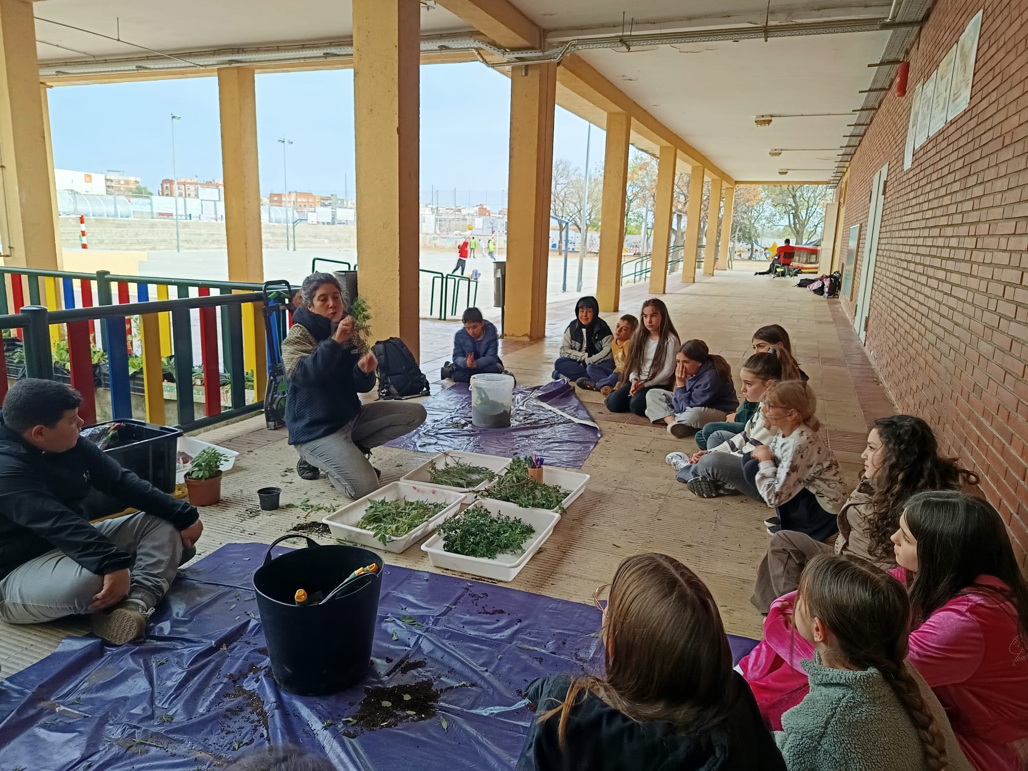 WhatsApp Image 2026-03-03 at 16.26.22