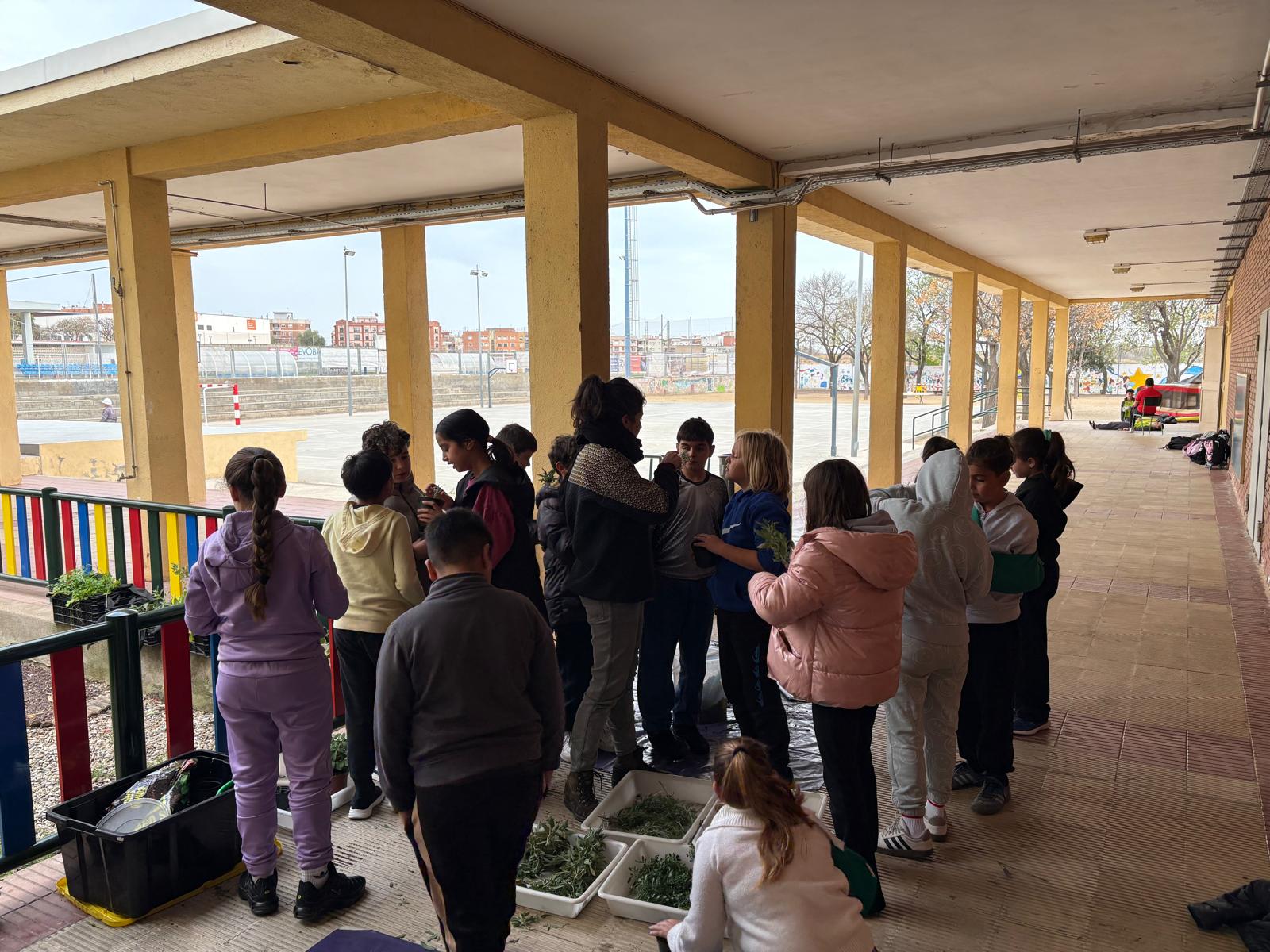 WhatsApp Image 2026-03-03 at 17.26.35 4