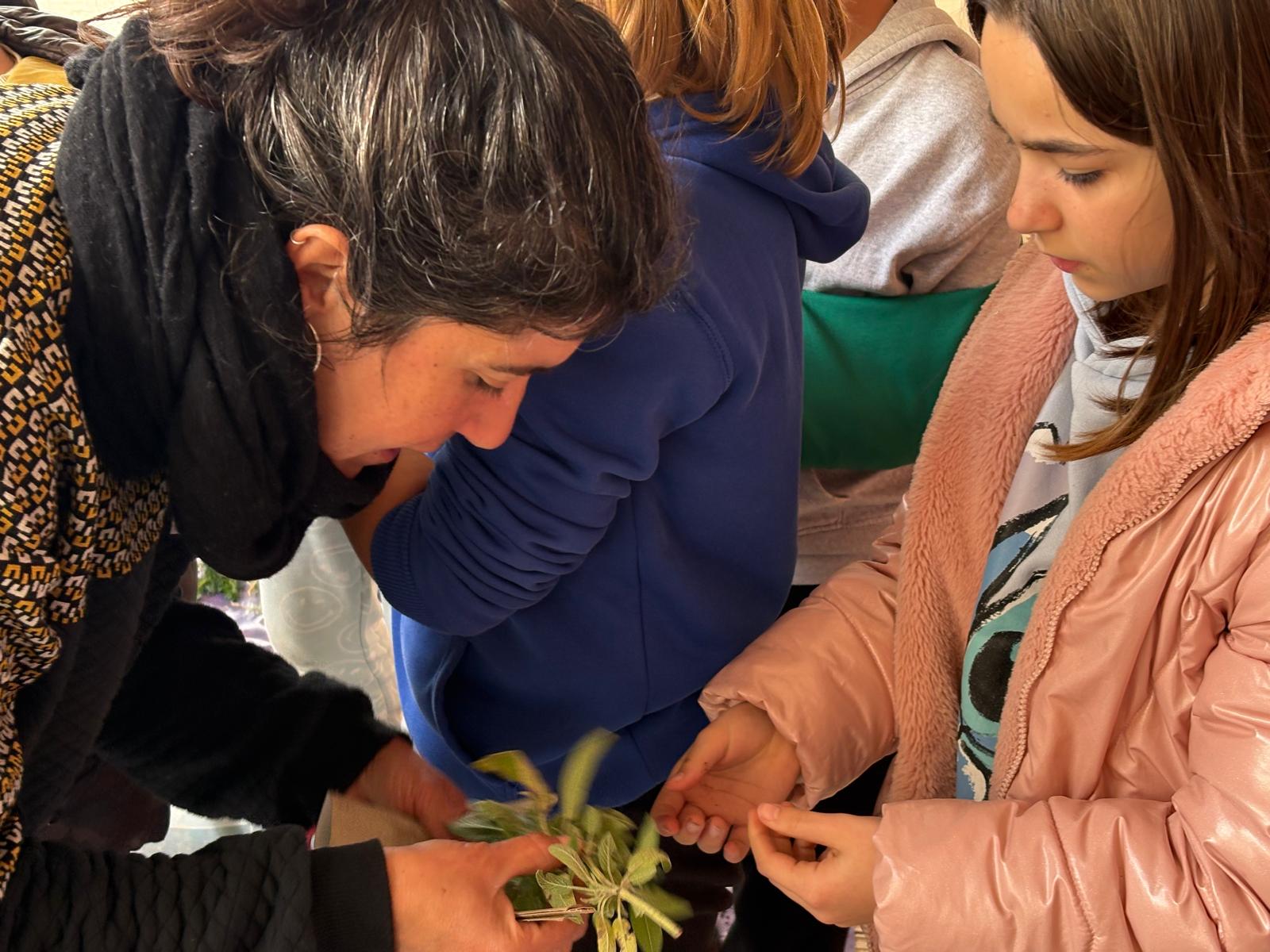 WhatsApp Image 2026-03-03 at 17.26.35