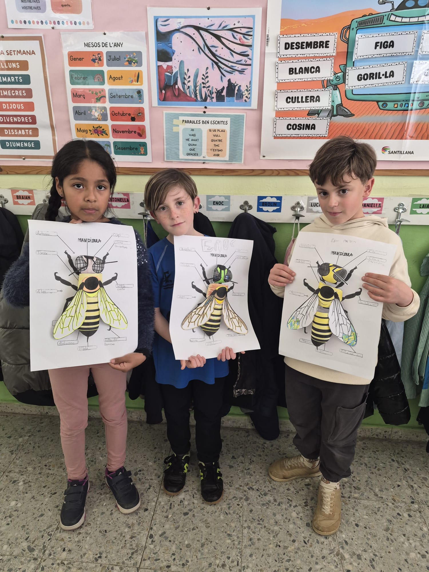 WhatsApp Image 2026-03-06 at 11.51.37