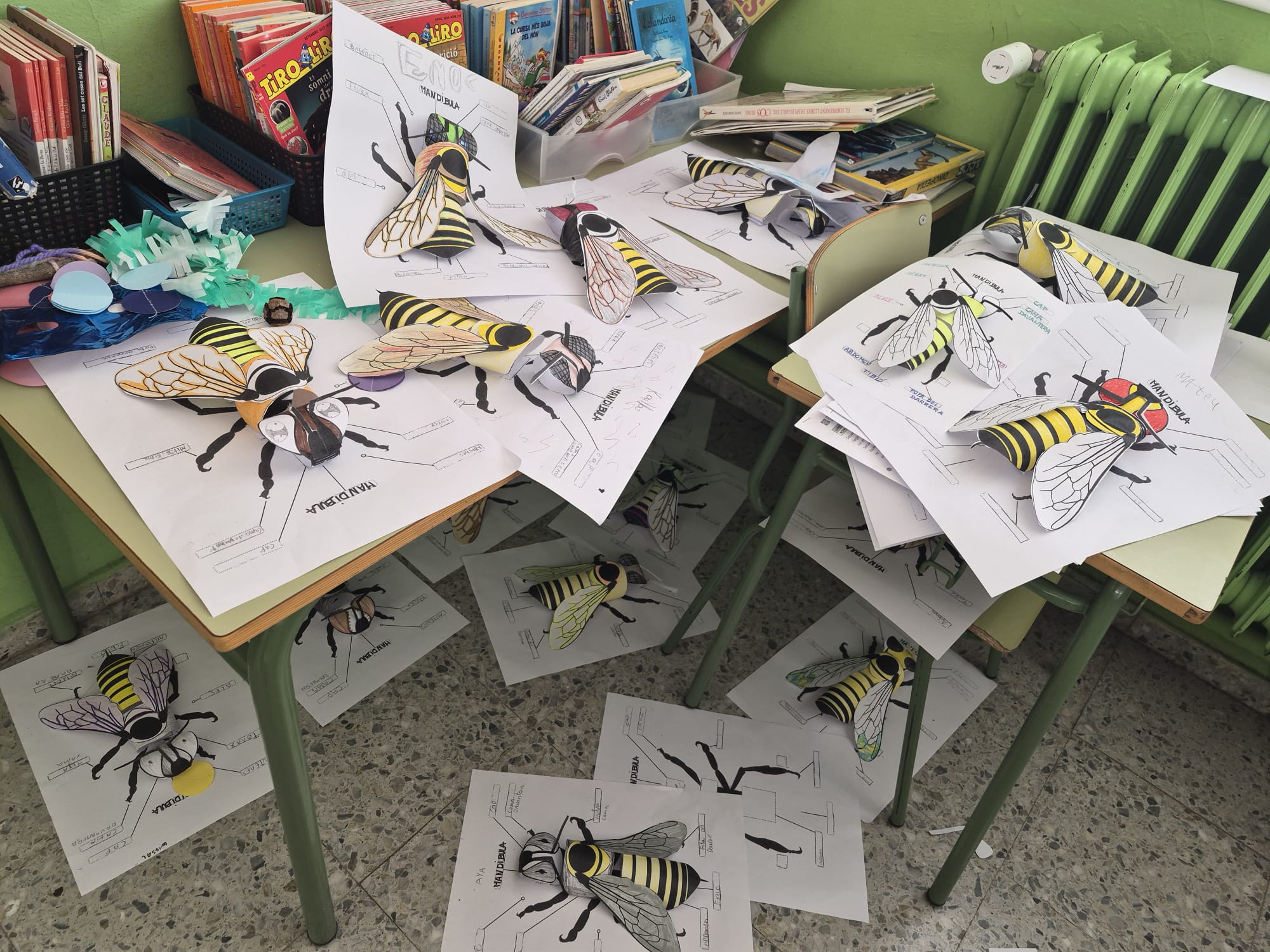 WhatsApp Image 2026-03-06 at 11.51.37f