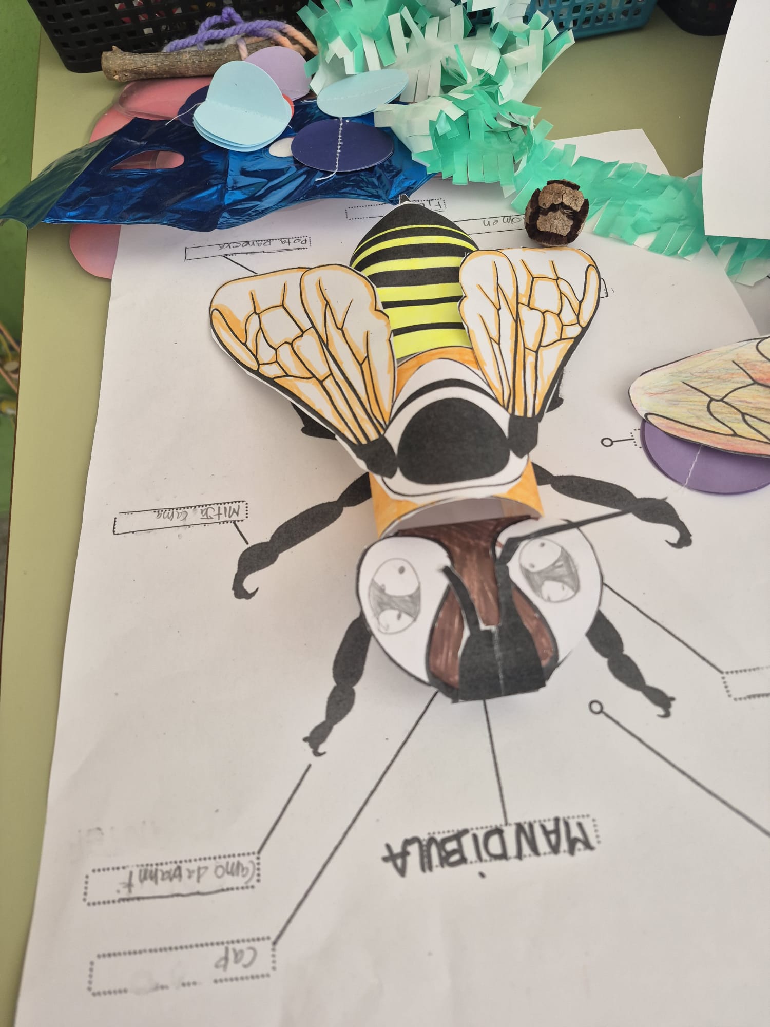 WhatsApp Image 2026-03-06 at 11.51.37s