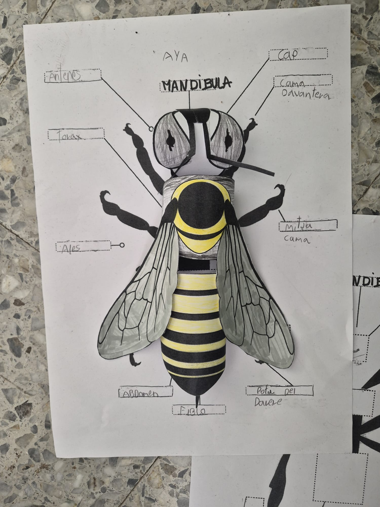 WhatsApp Image 2026-03-06 at 11.51.38d