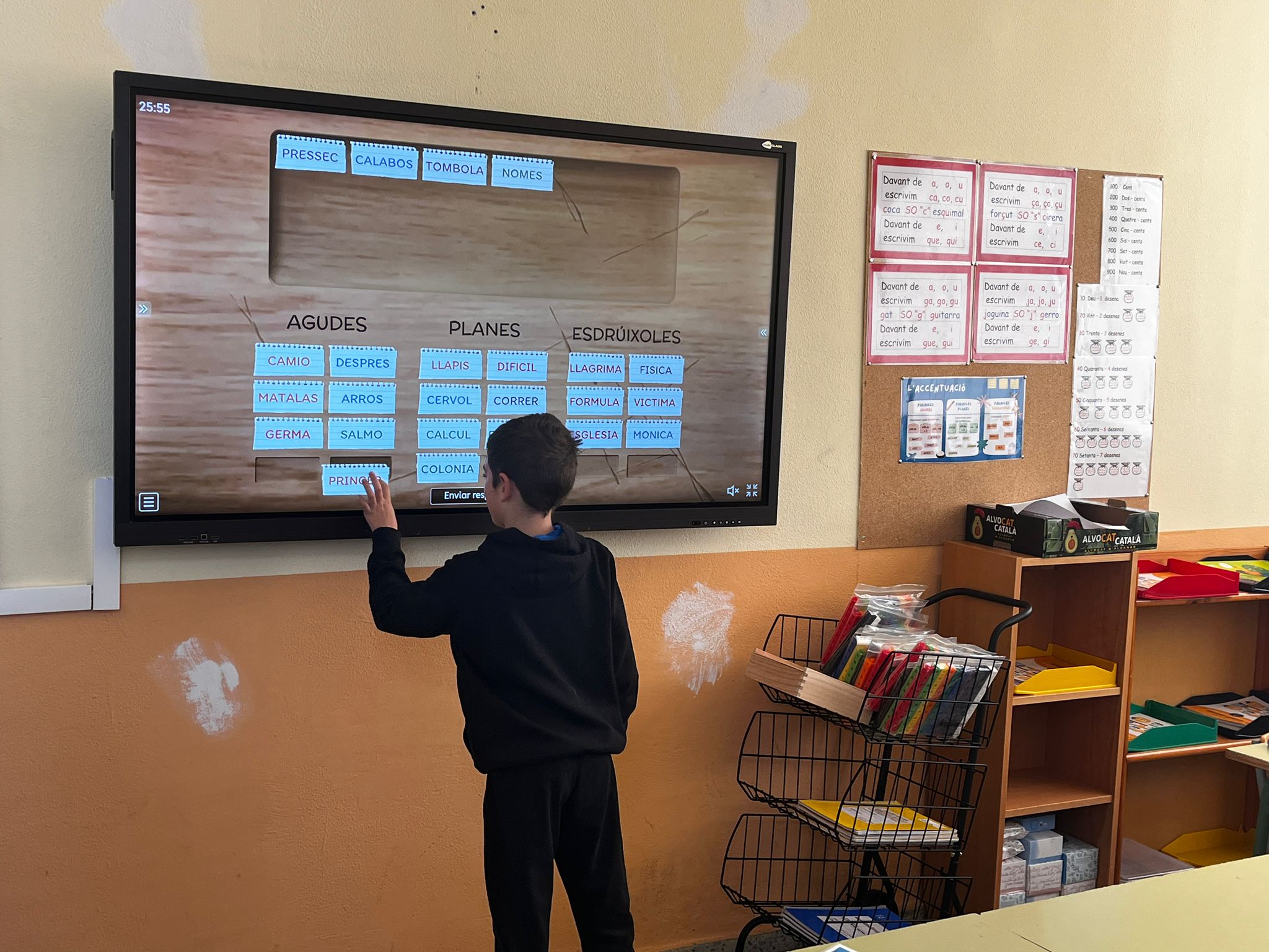 WhatsApp Image 2026-03-16 at 15.29.58