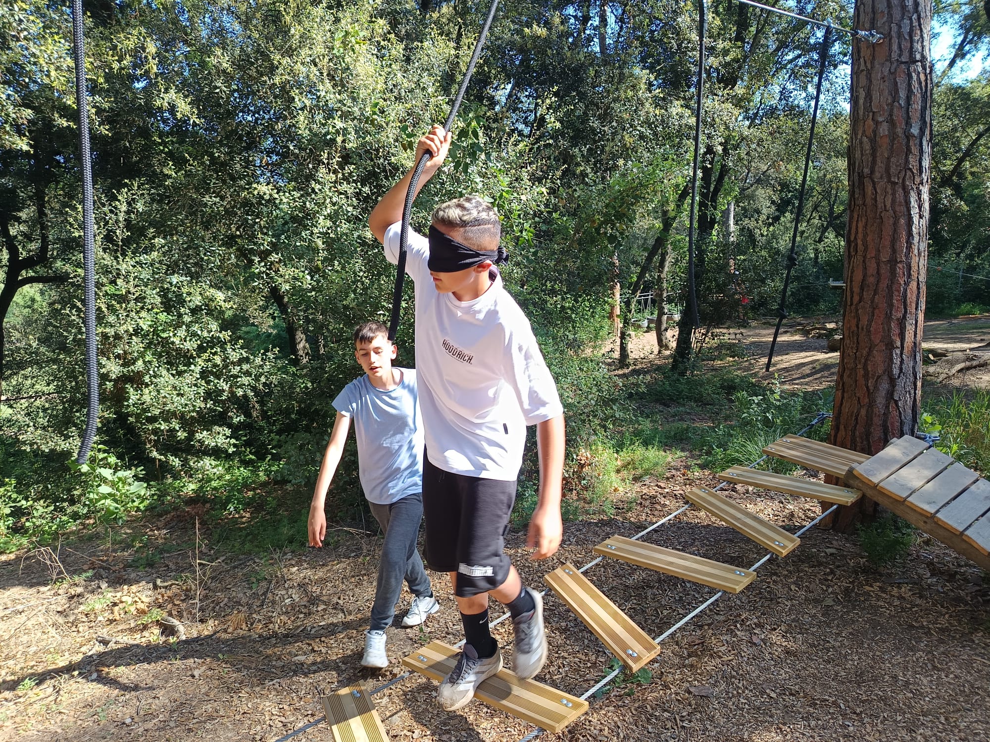 WhatsApp Image 2026-04-21 at 12.02.28 - còpia