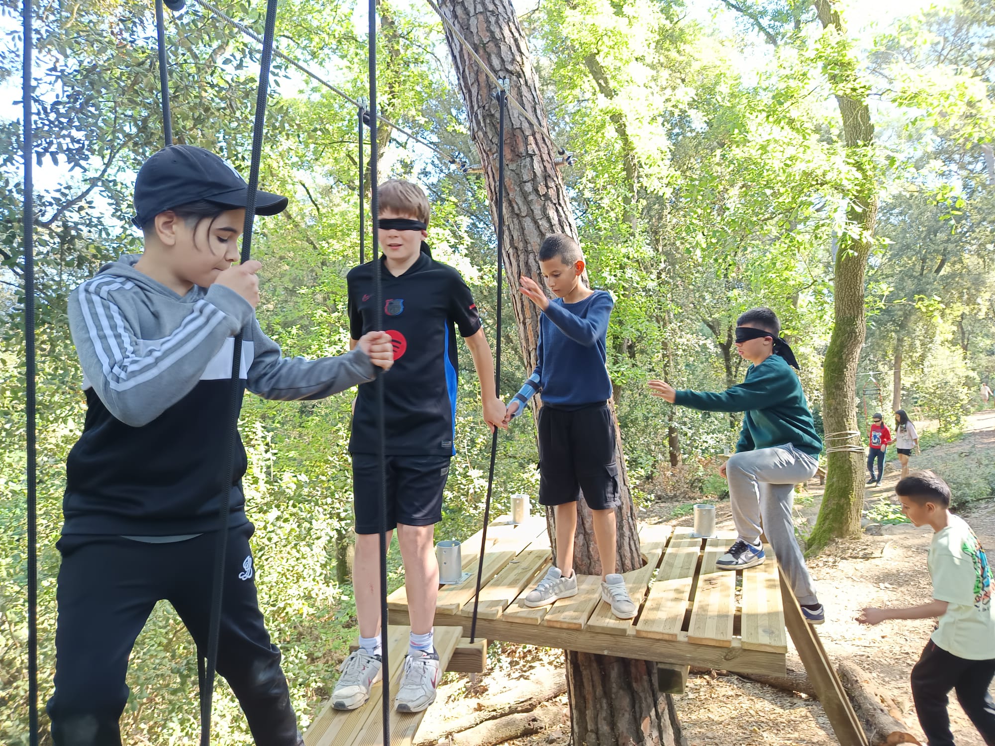 WhatsApp Image 2026-04-21 at 12.02.50 - còpia