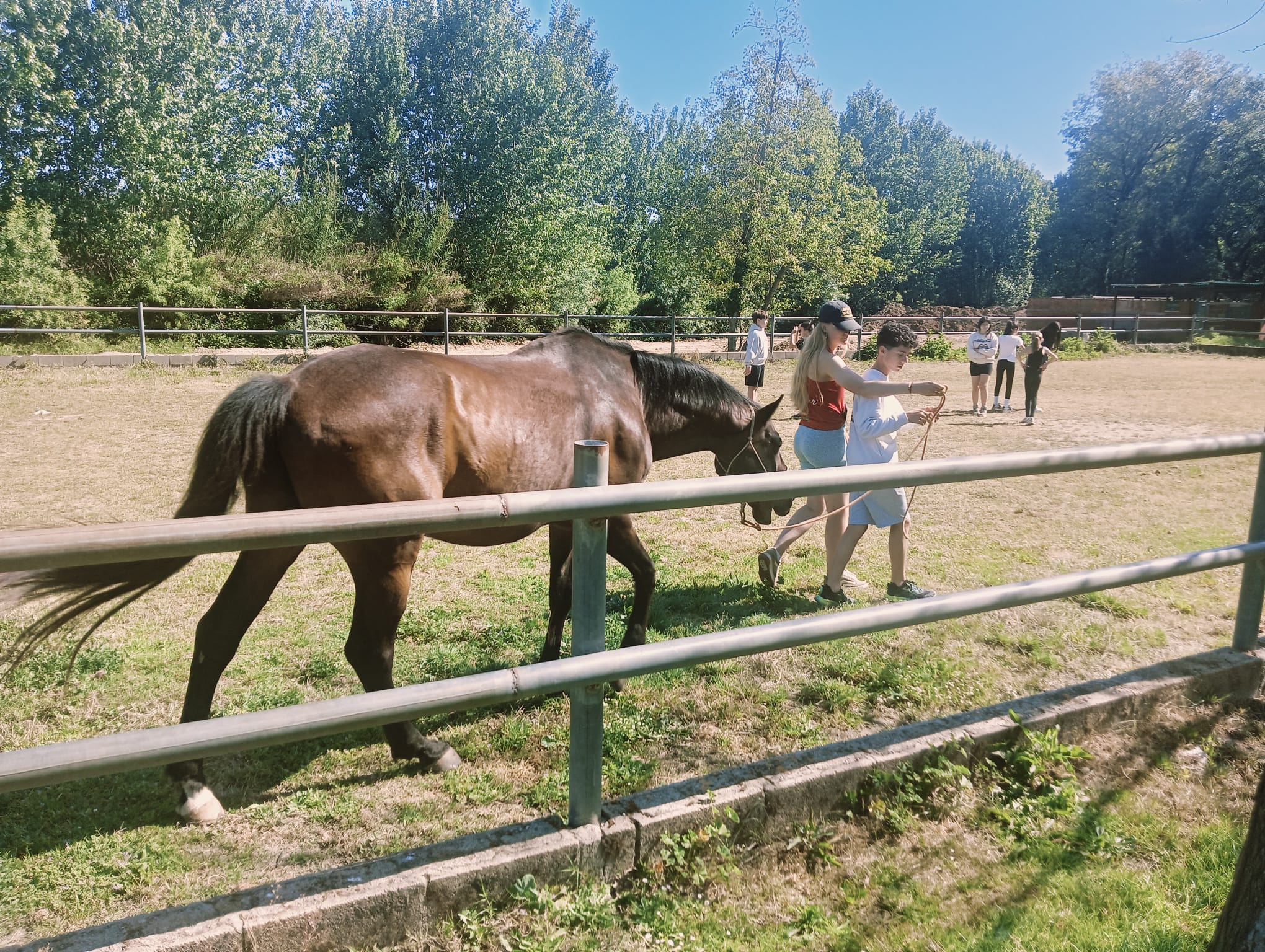 WhatsApp Image 2026-04-21 at 12.09.56