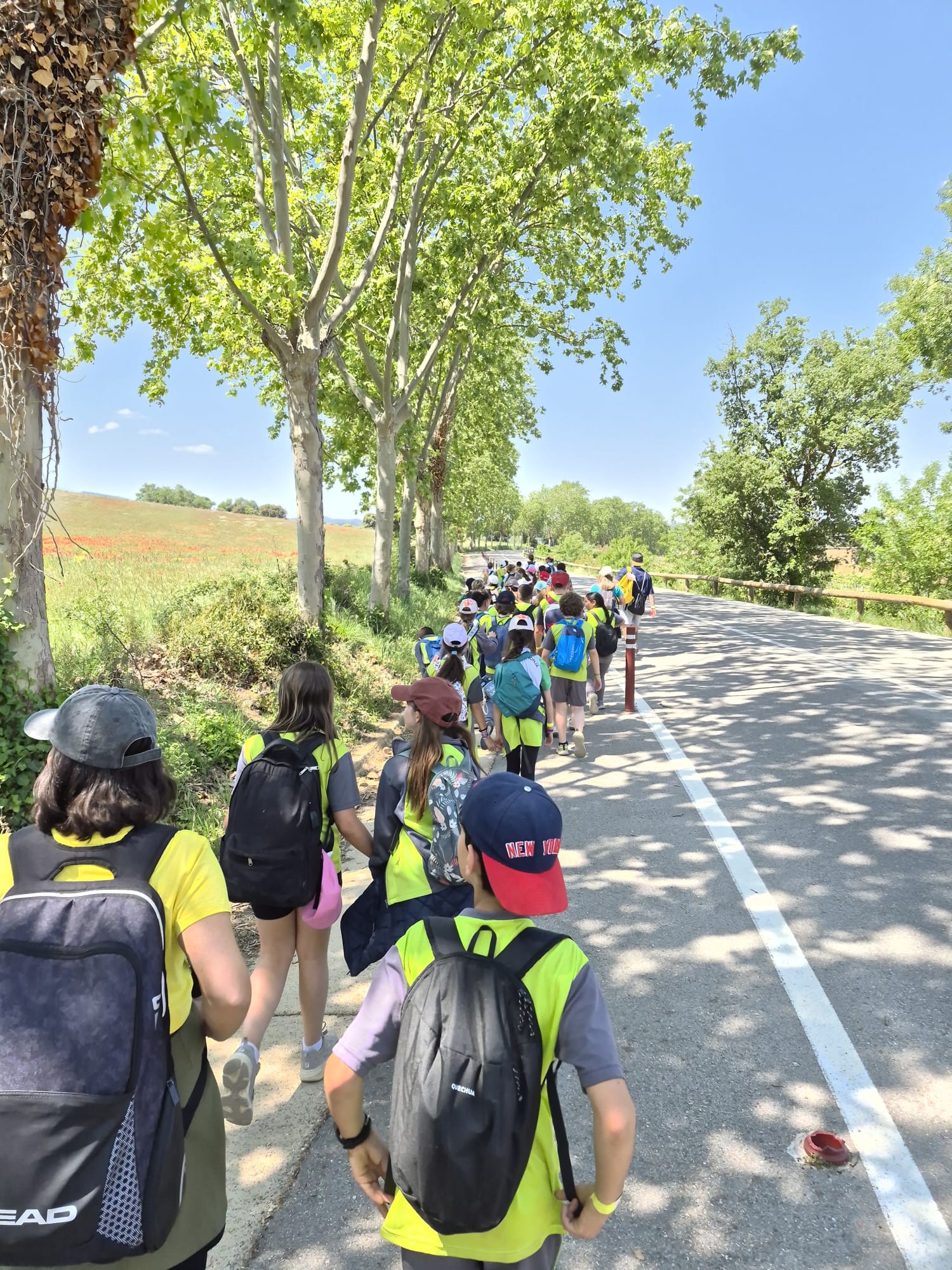 WhatsApp Image 2026-04-30 at 12.40.42çb