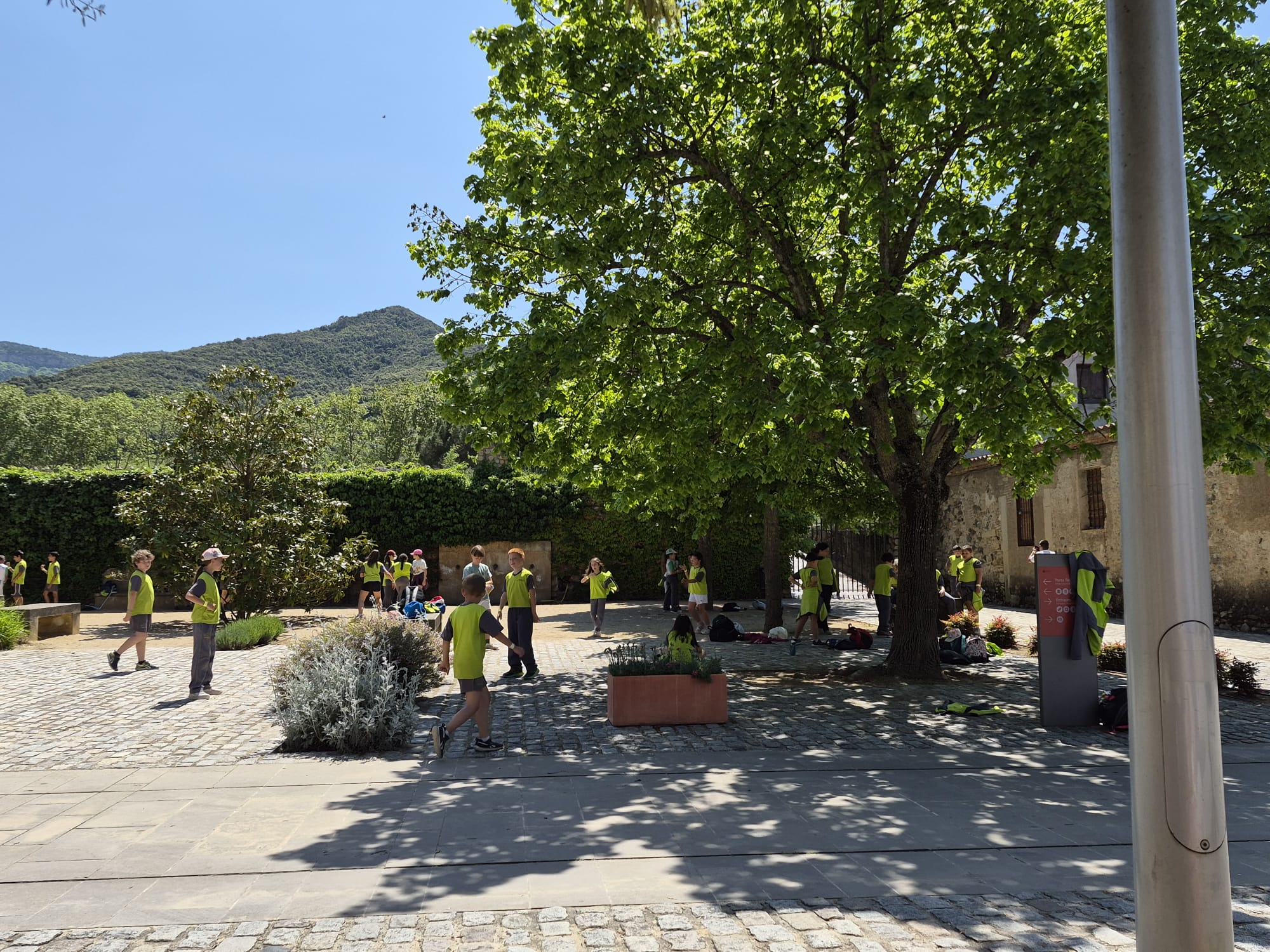 WhatsApp Image 2026-04-30 at 12.40.42j