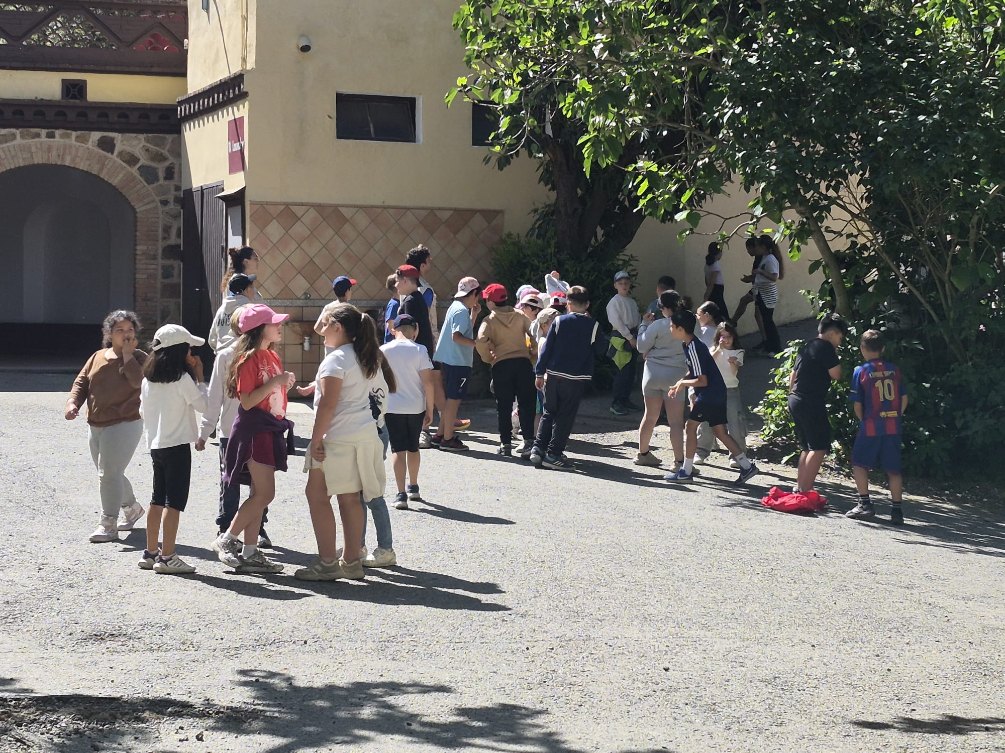 WhatsApp Image 2026-04-30 at 15.36.06