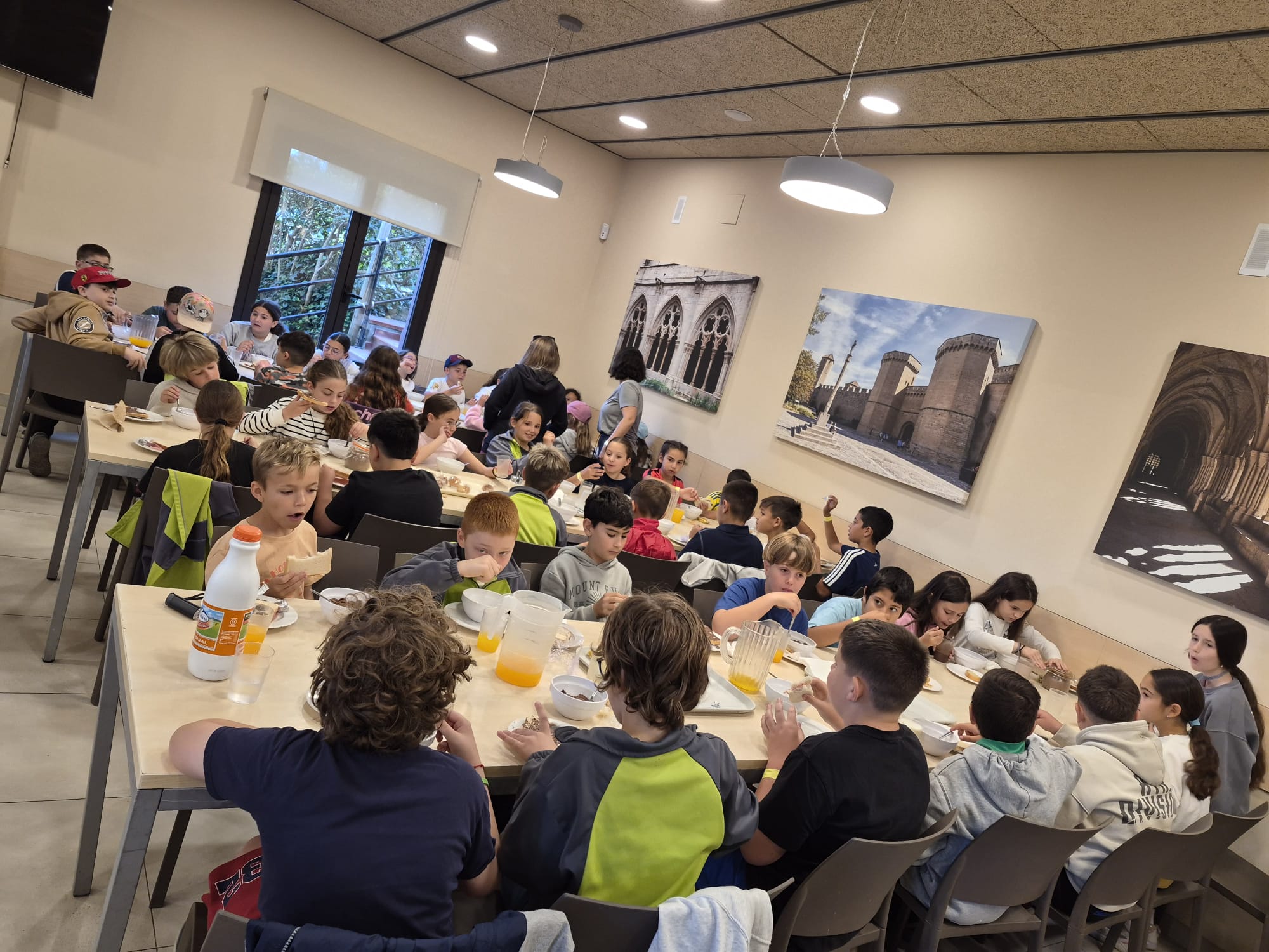 WhatsApp Image 2026-04-30 at 15.36.40