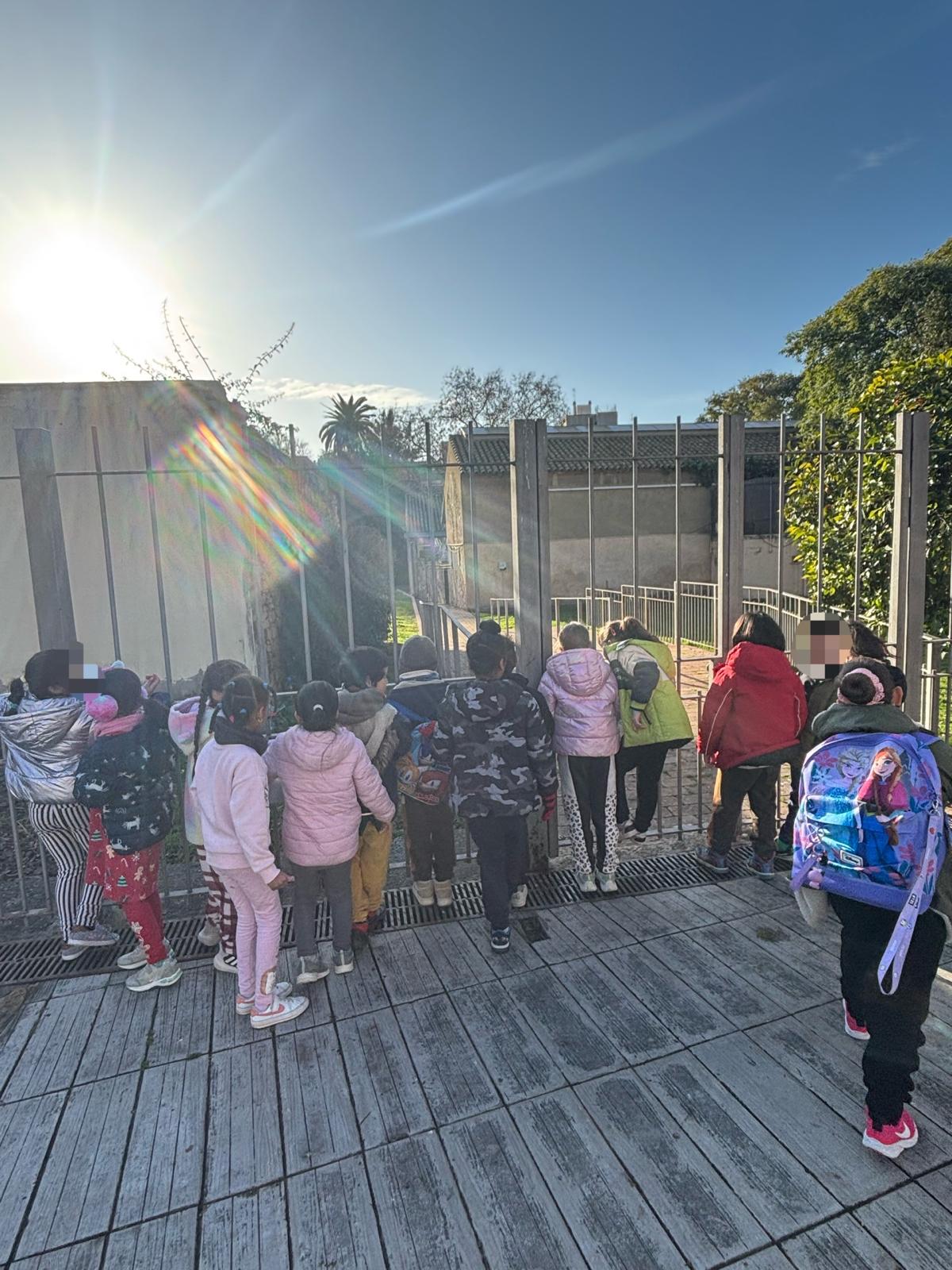 WhatsApp Image 2025-01-23 at 15.35.03 (3)