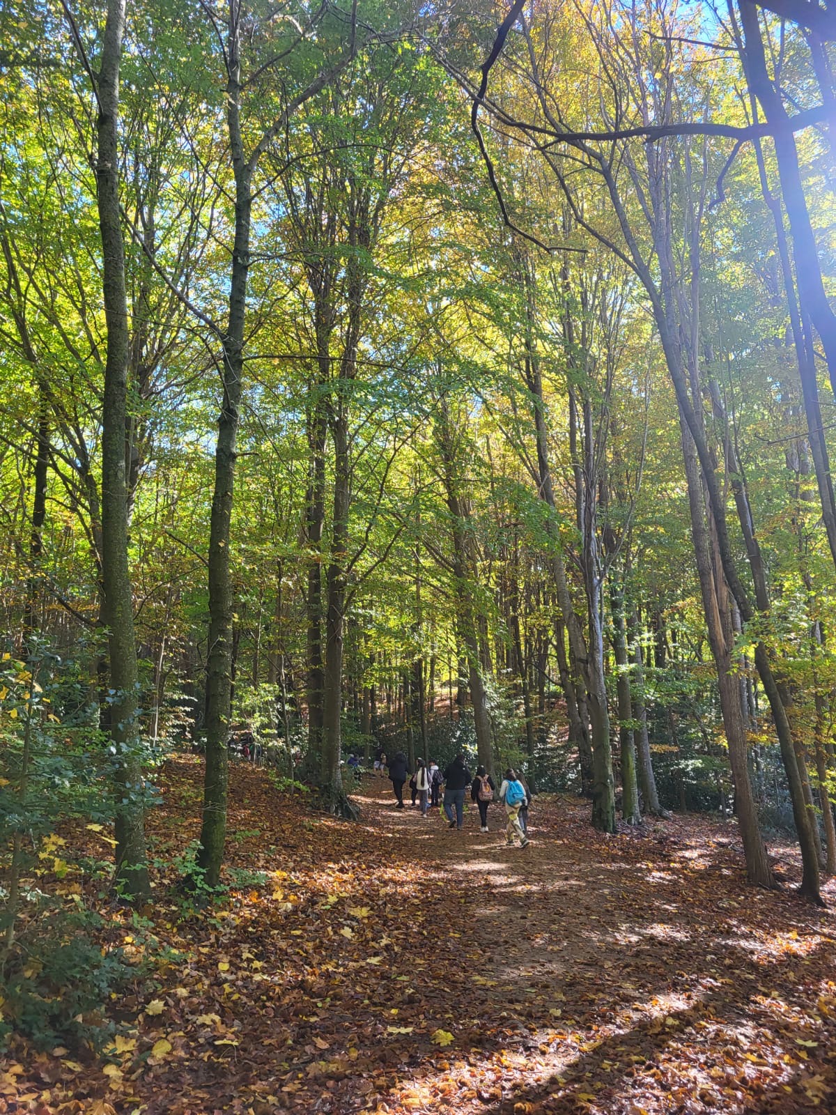 89635b3a-7919-4e4c-a18c-c8e575978925