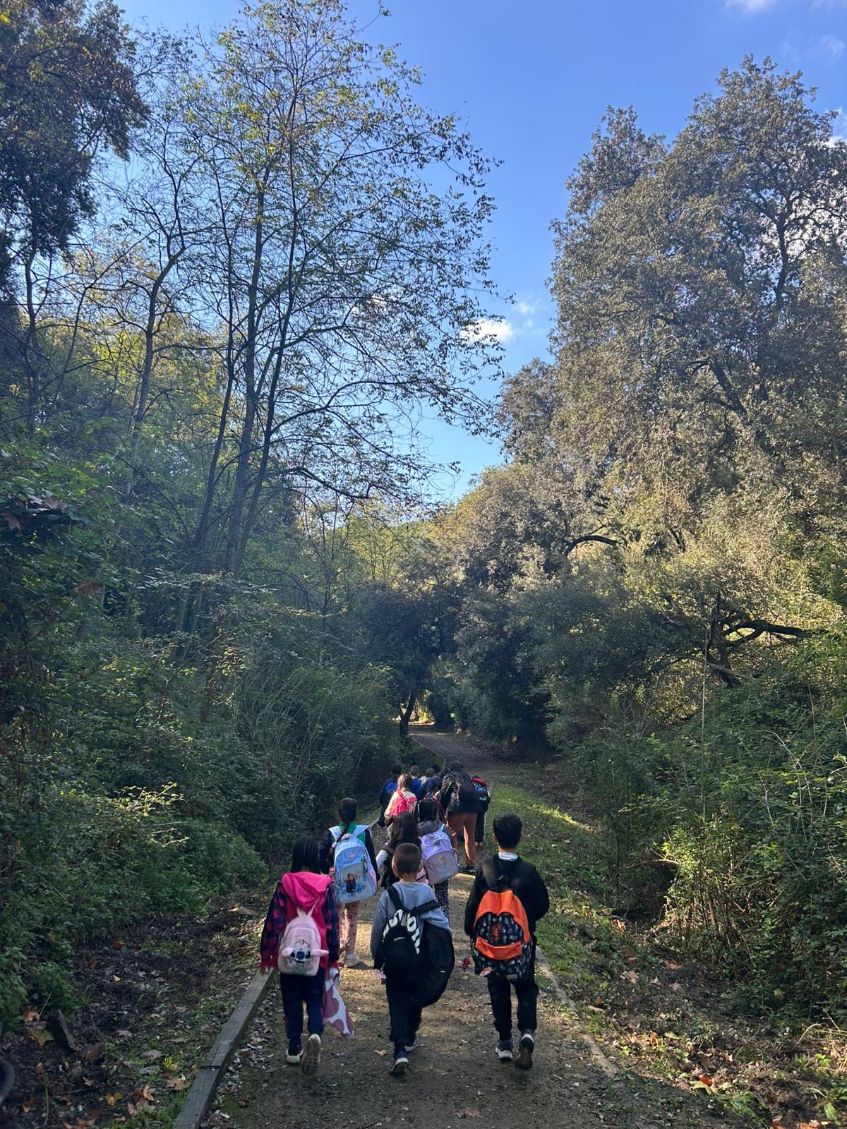 Collserola 2n B (21)