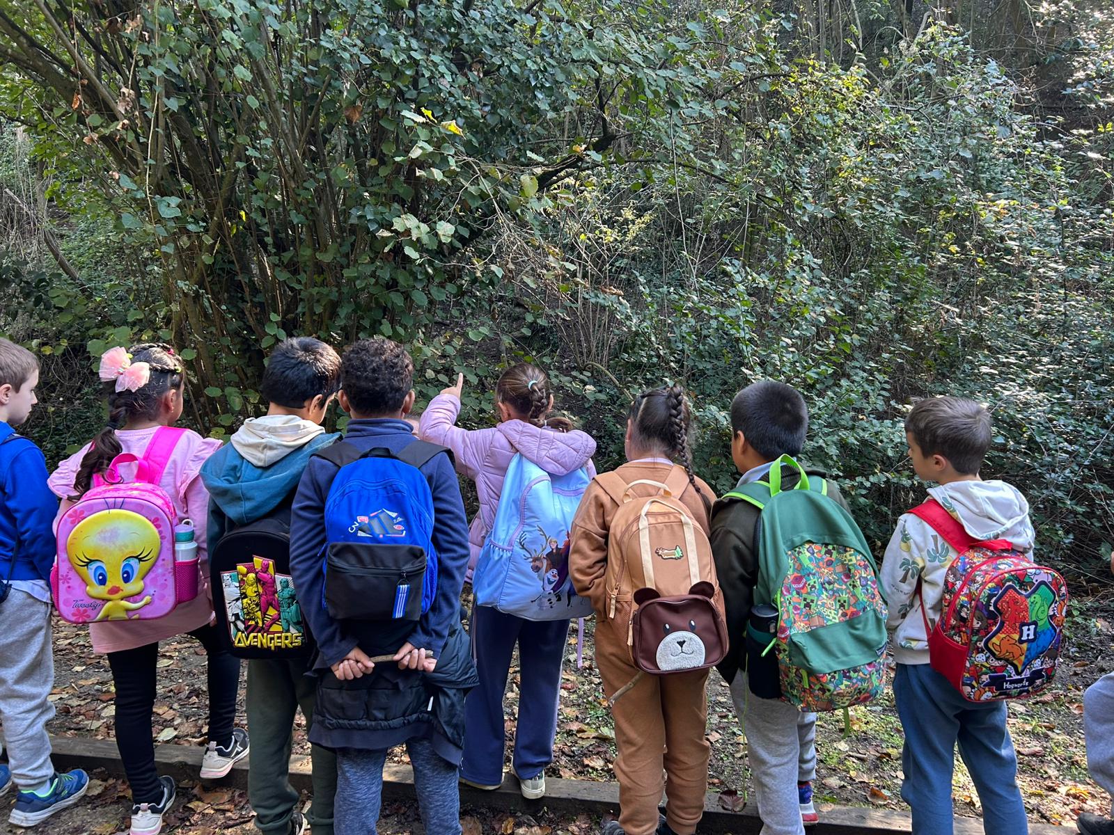 Collserola 2n B (23)