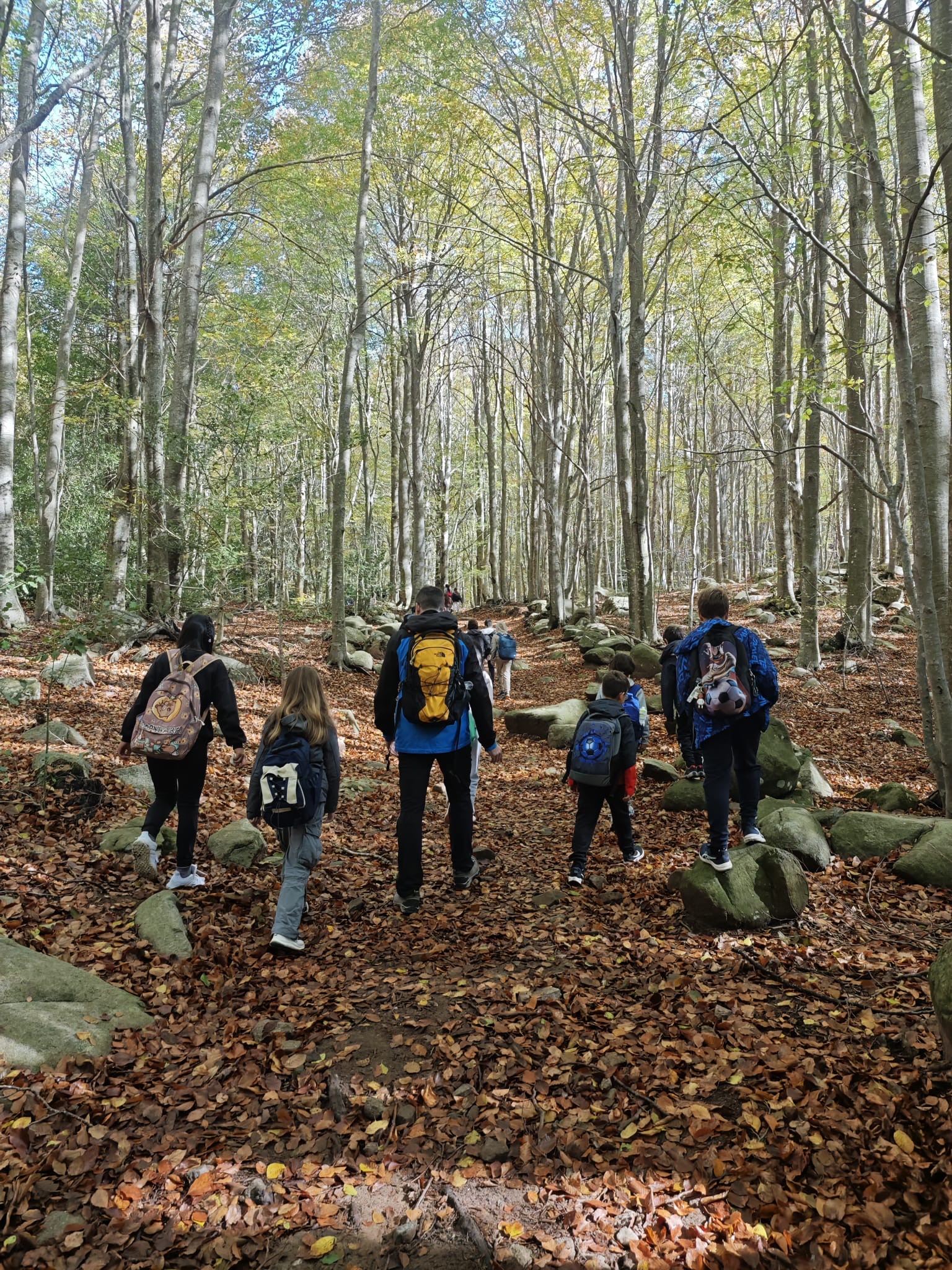 c772bb11-2bc7-4ec1-9e6f-1017781a9efd