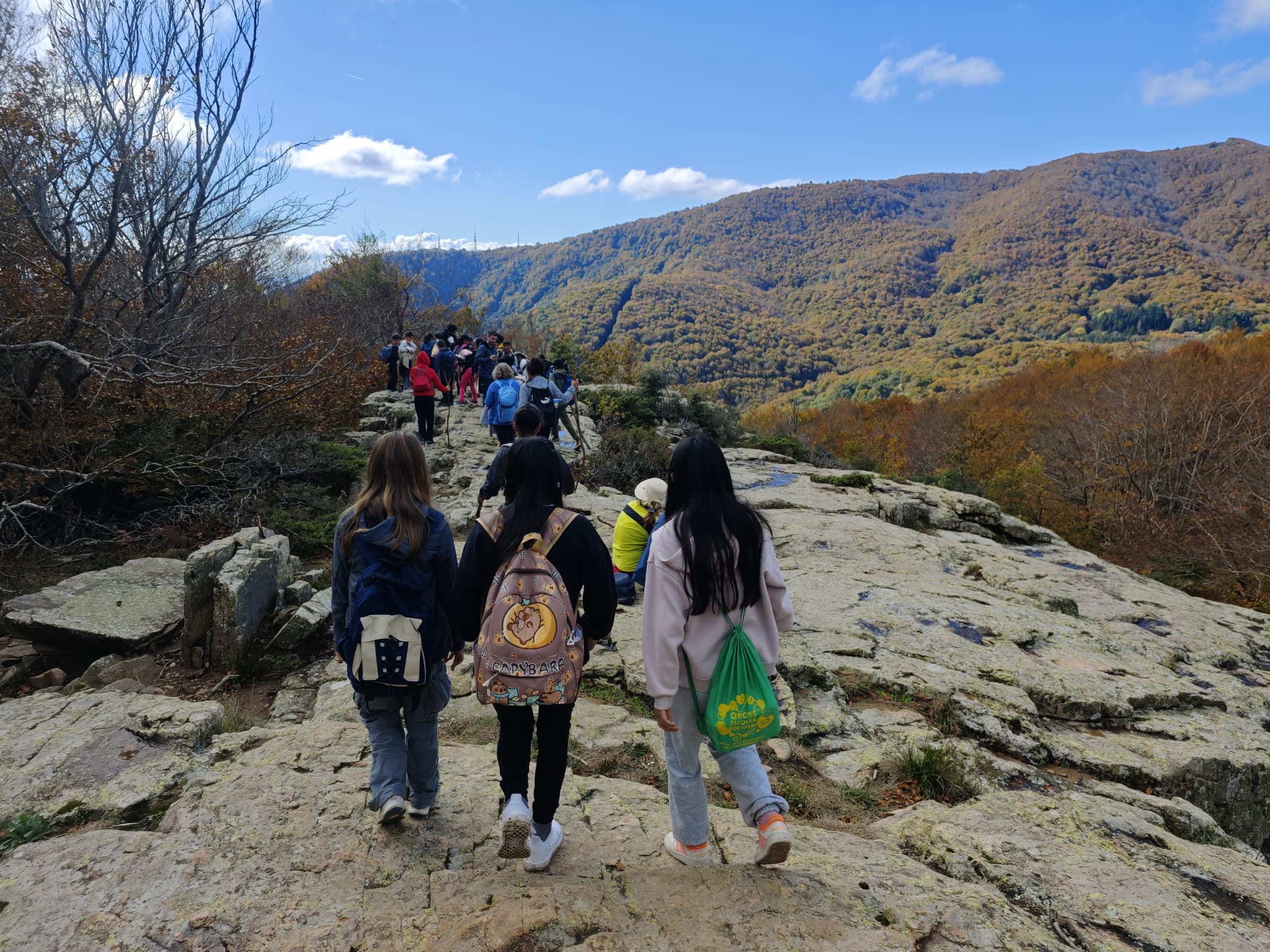 d21a173a-7e26-43be-9cd6-f412ae227a17