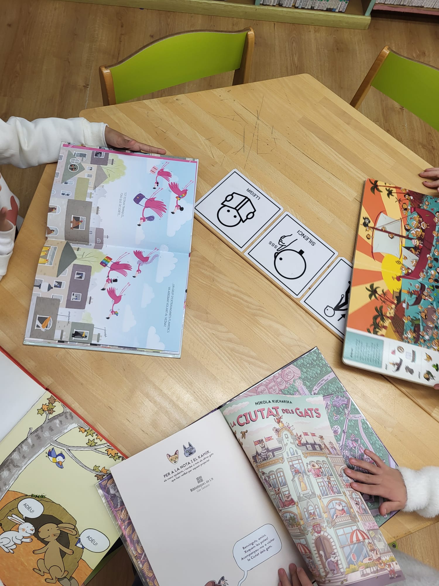 Biblioteca Can Sumarro (2)