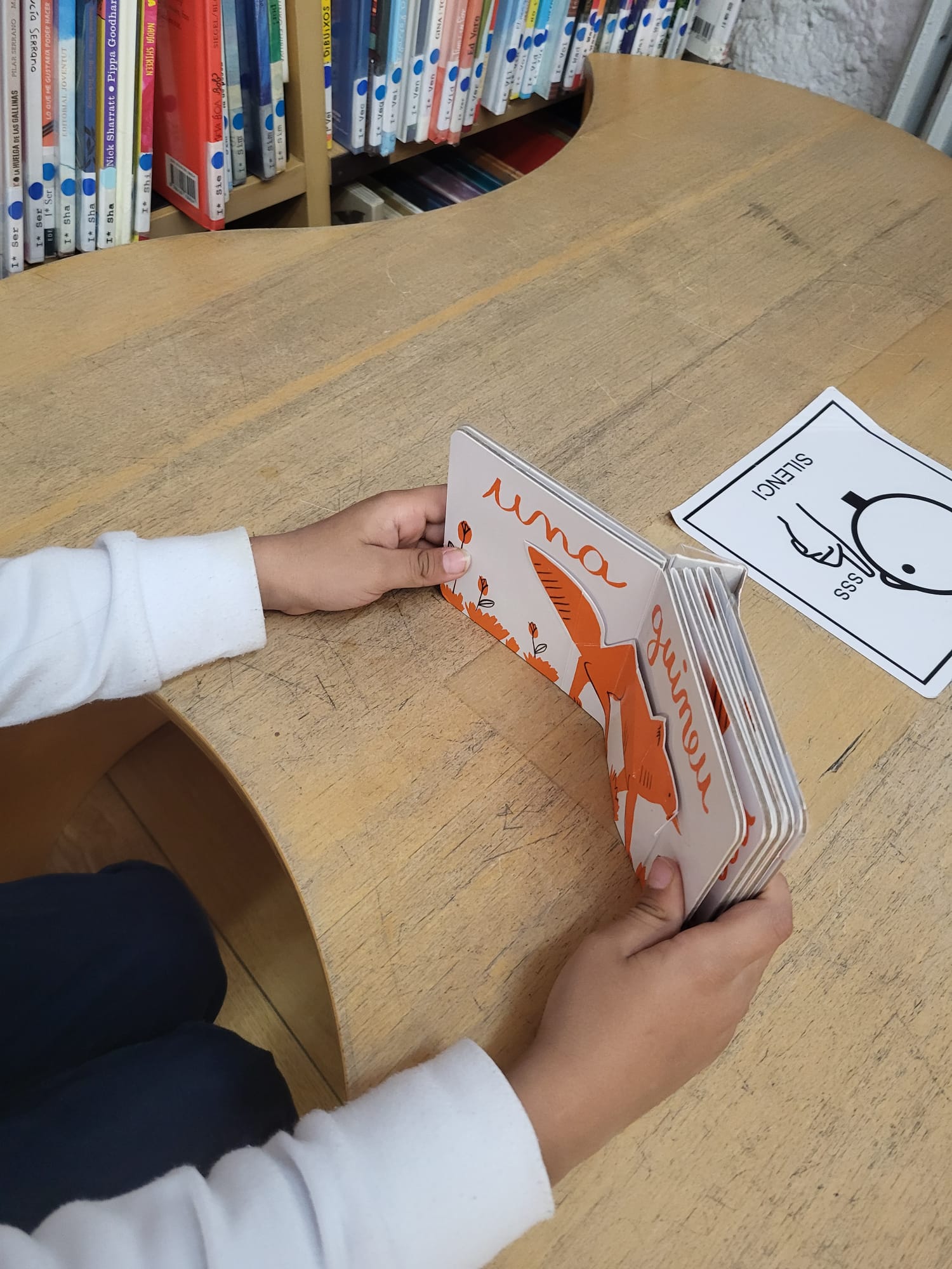 Biblioteca Can Sumarro (3)