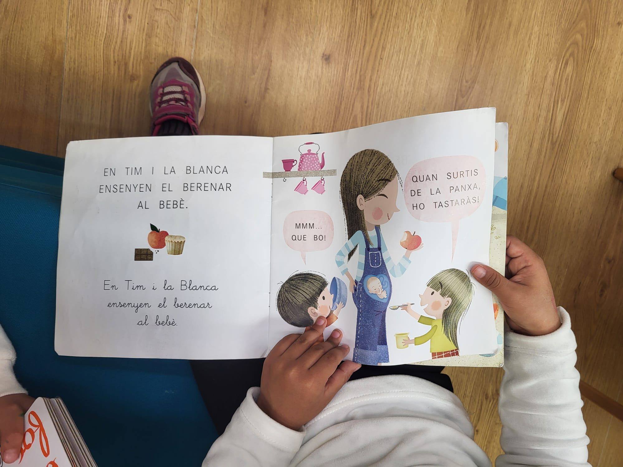 Biblioteca Can Sumarro (4)