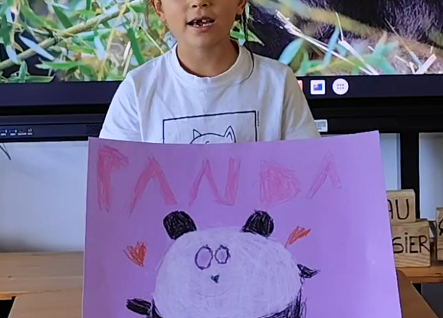 Proposta i presentació a Mitjans