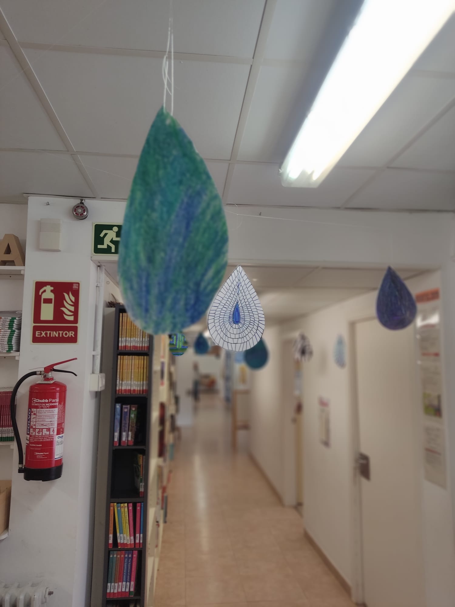 WhatsApp Image 2024-11-13 at 10.18.19 (2)