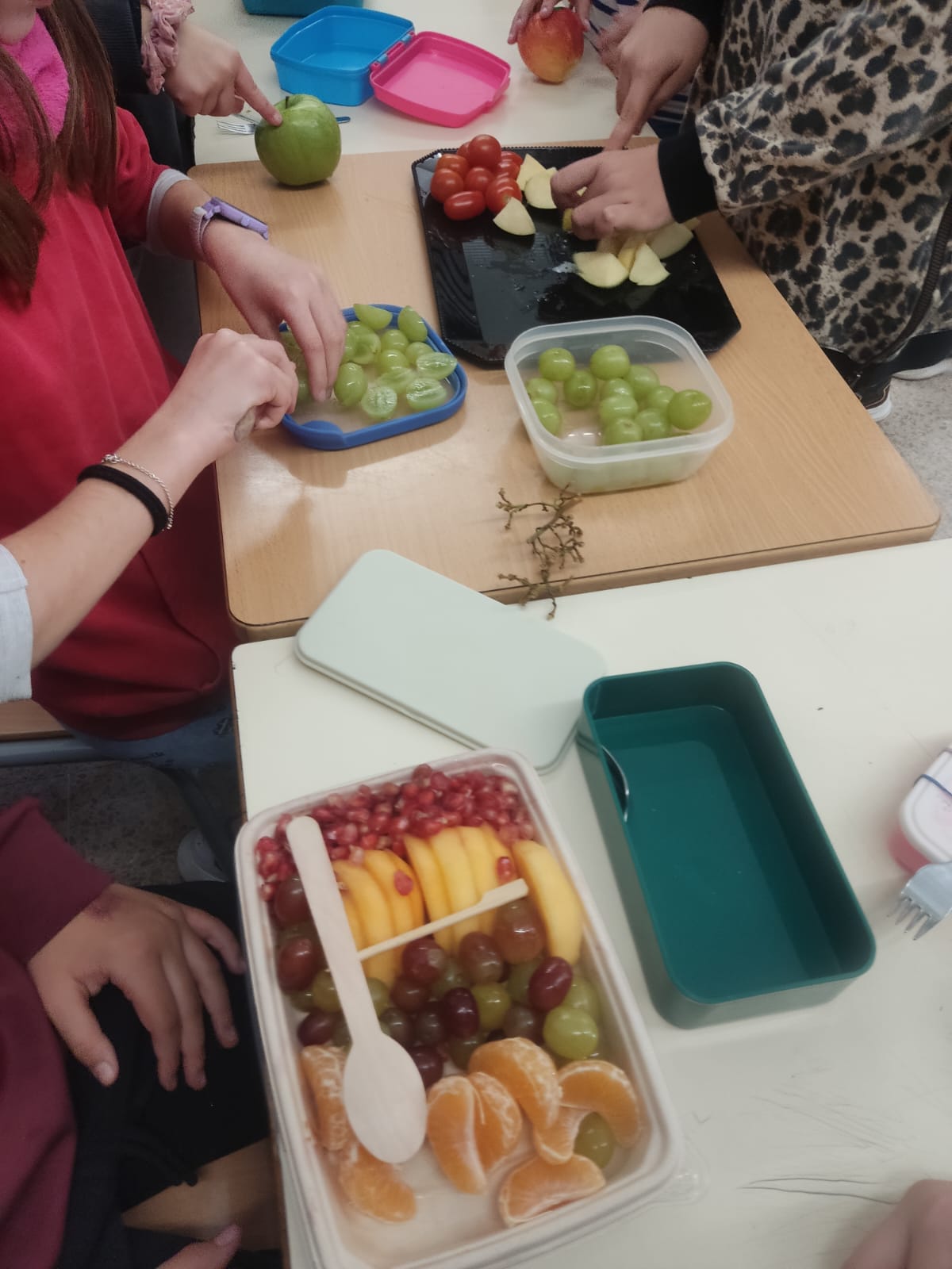 WhatsApp Image 2024-12-04 at 13.21.15 (2)