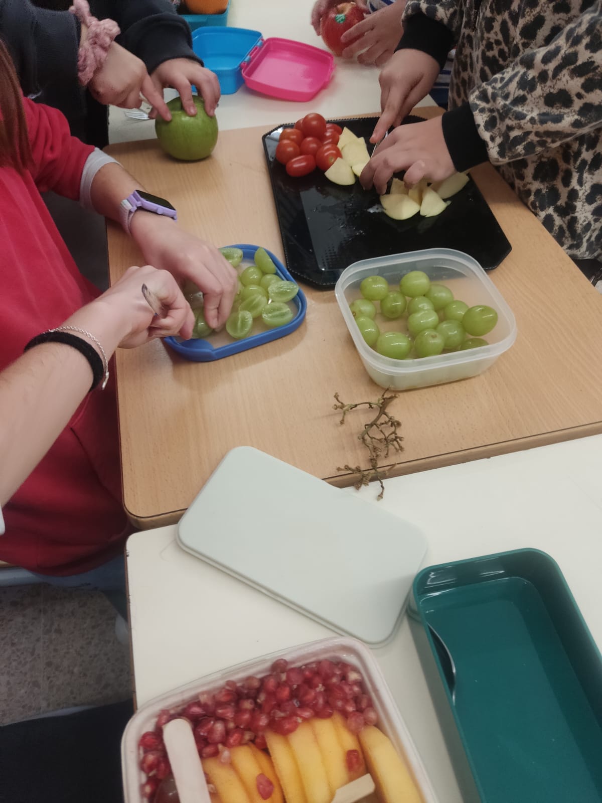 WhatsApp Image 2024-12-04 at 13.21.15