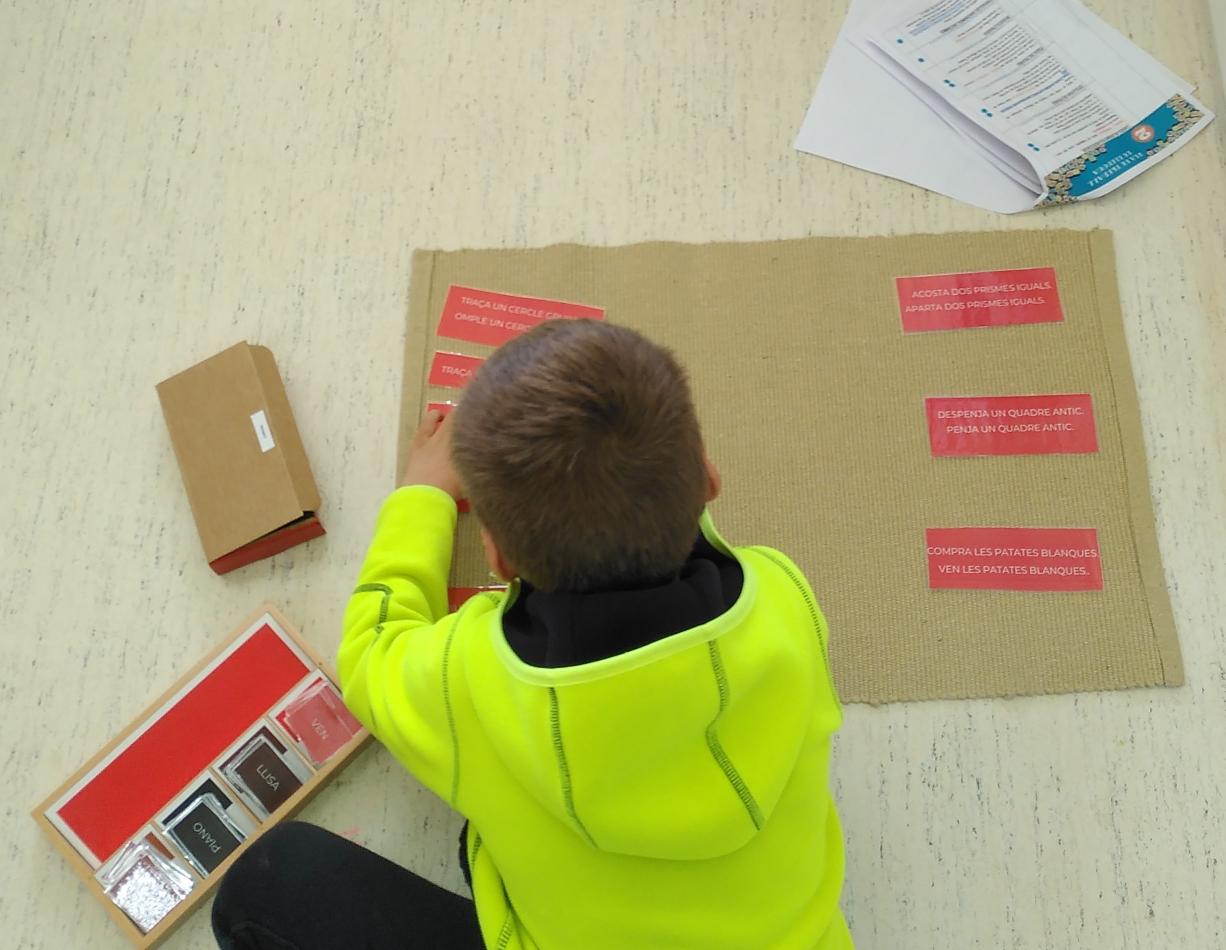 IMG_20240311_114547~2