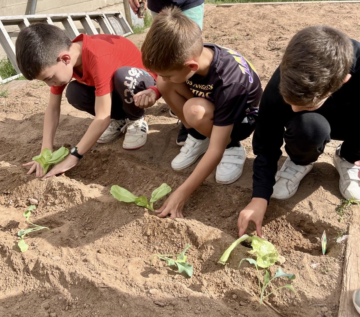 4b159d5a-d75b-440c-8771-5c8aa2a03014