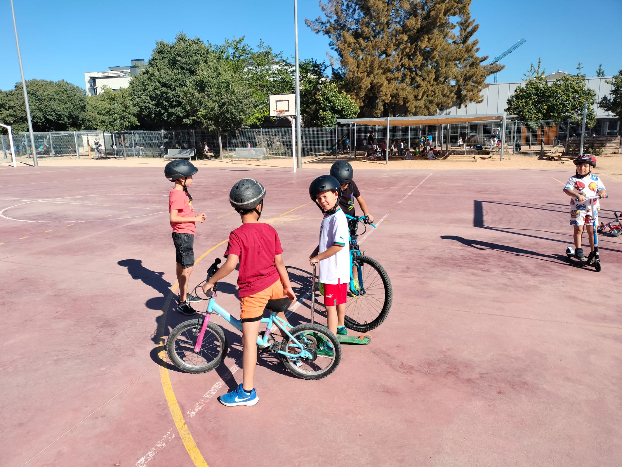 WhatsApp Image 2024-09-30 at 12.43.39