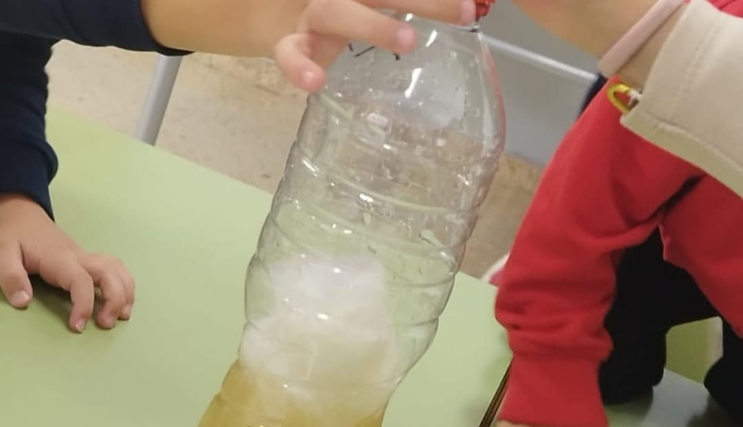 WhatsApp Image 2025-11-03 at 08.43.39 (2)