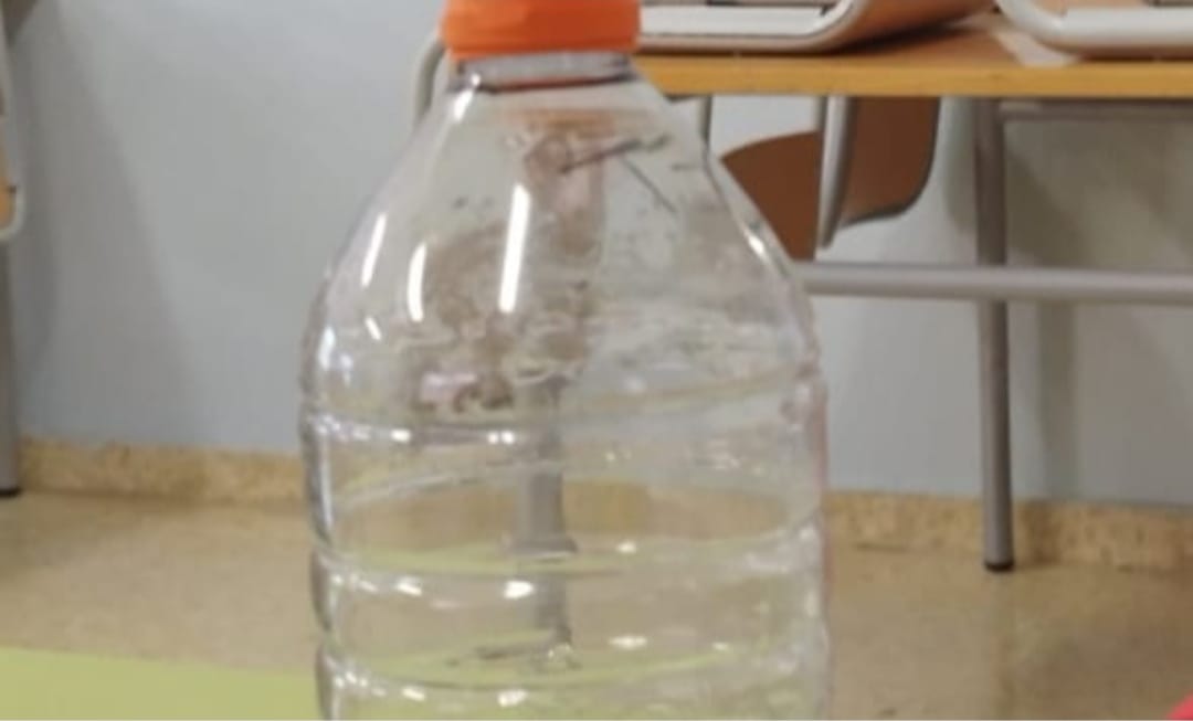 WhatsApp Image 2025-11-03 at 08.43.39 (3)