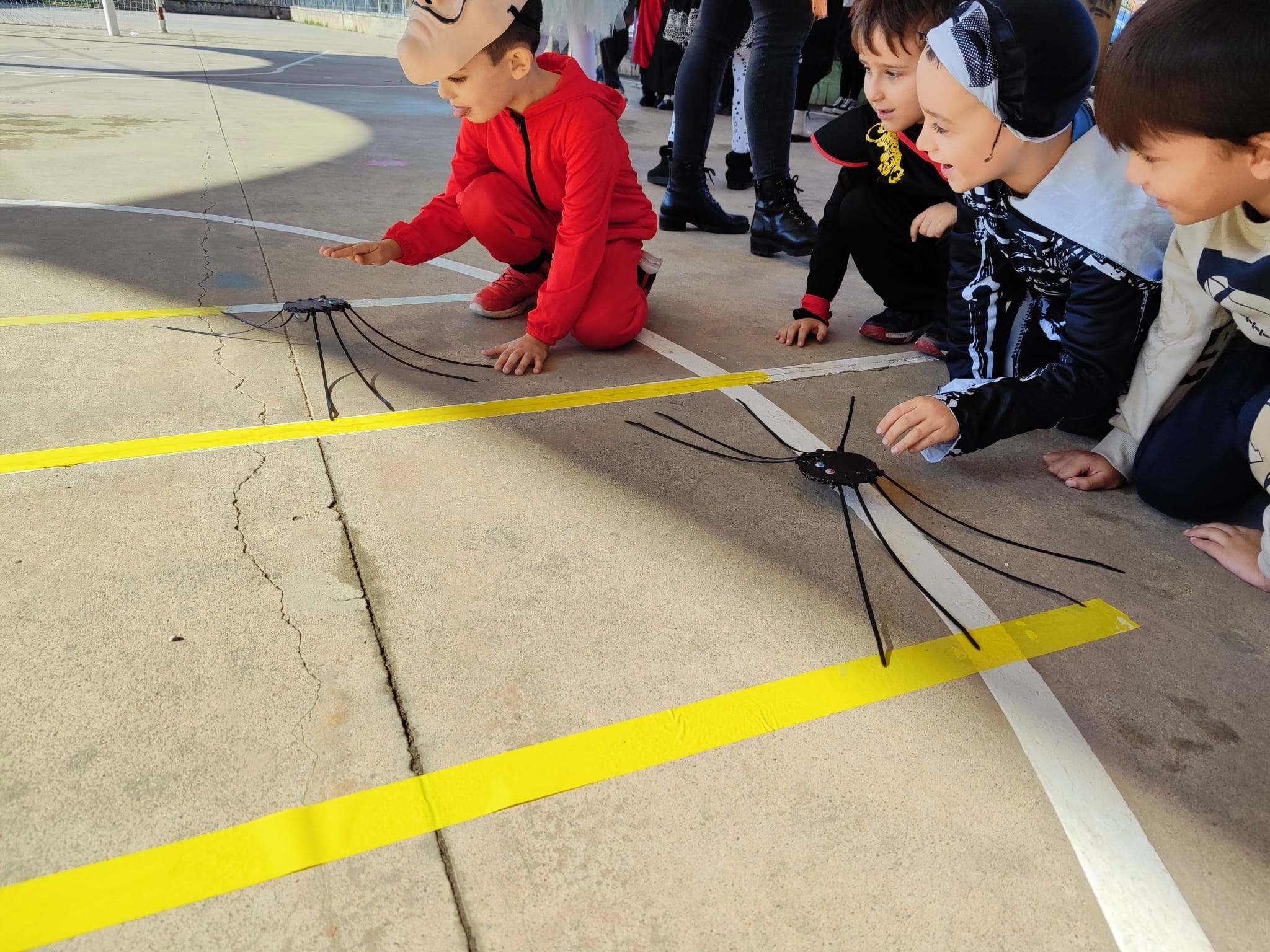 WhatsApp Image 2025-11-03 at 08.49.29