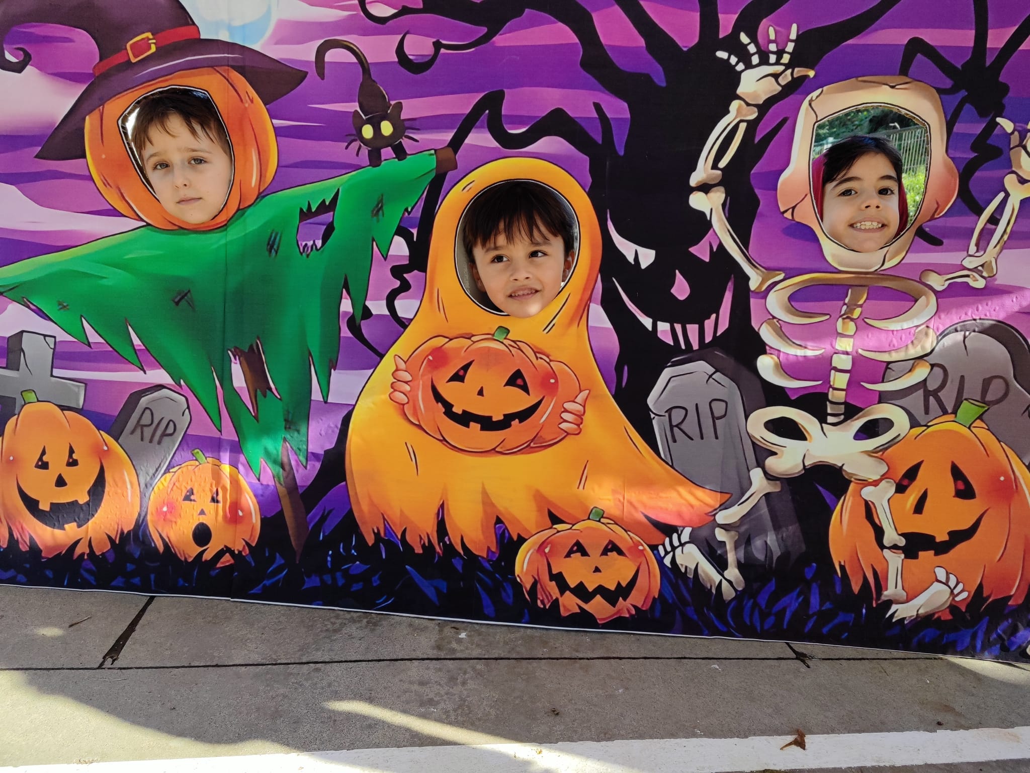 WhatsApp Image 2025-11-03 at 08.49.30 (3)