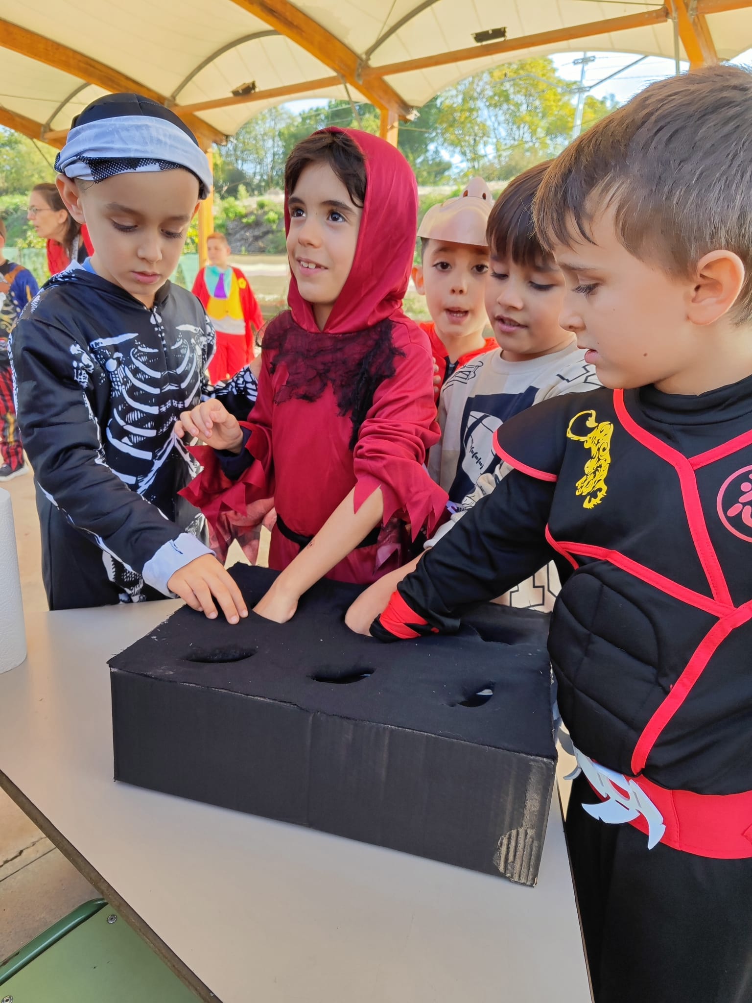 WhatsApp Image 2025-11-03 at 08.49.30 (4)