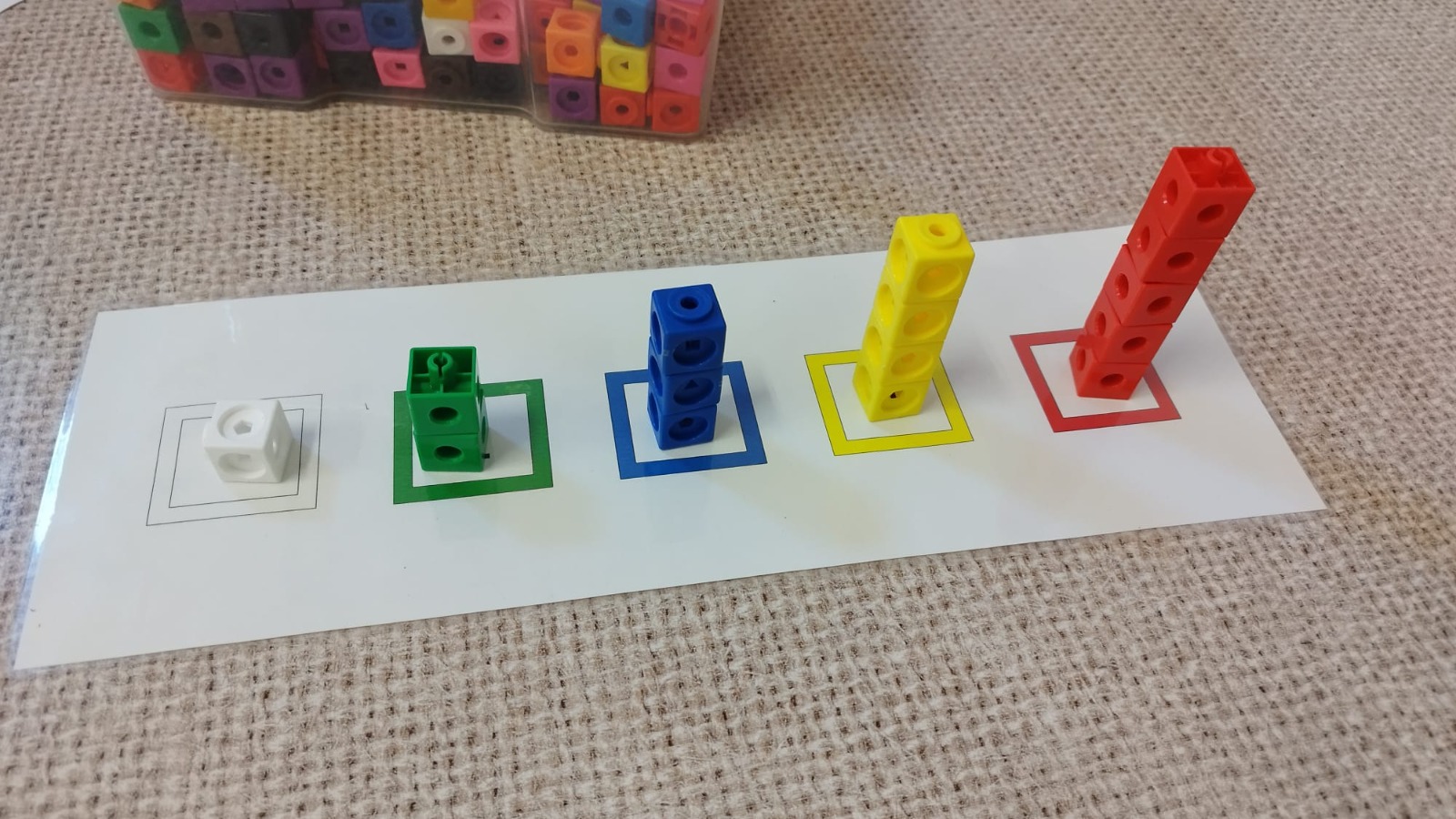 WhatsApp Image 2025-11-13 at 15.18.17 (3)