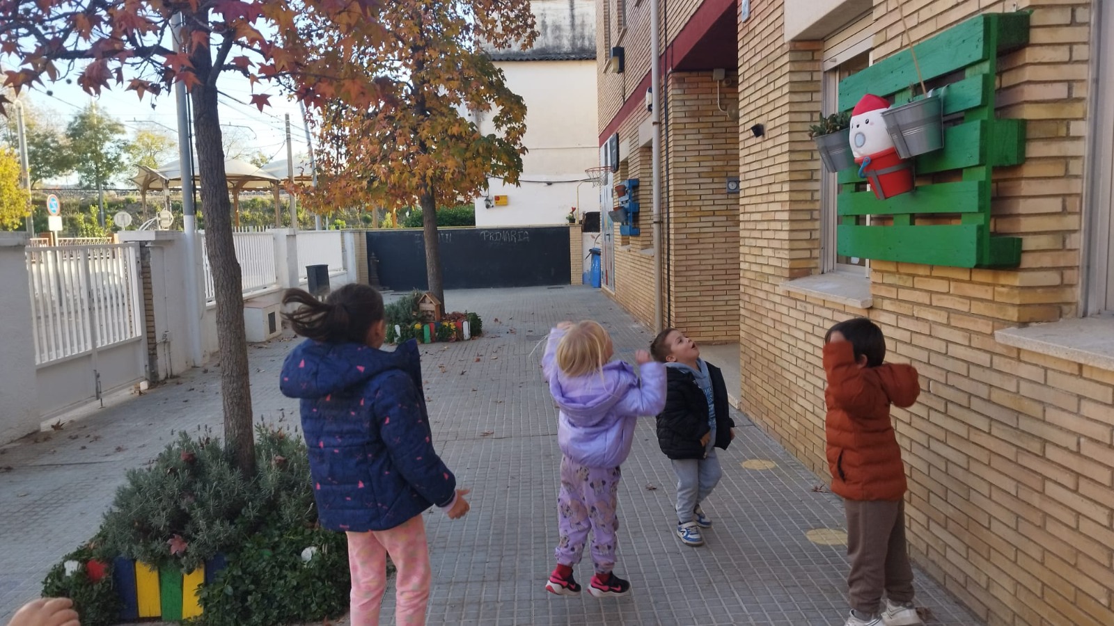 WhatsApp Image 2025-11-27 at 17.52.40 (2)