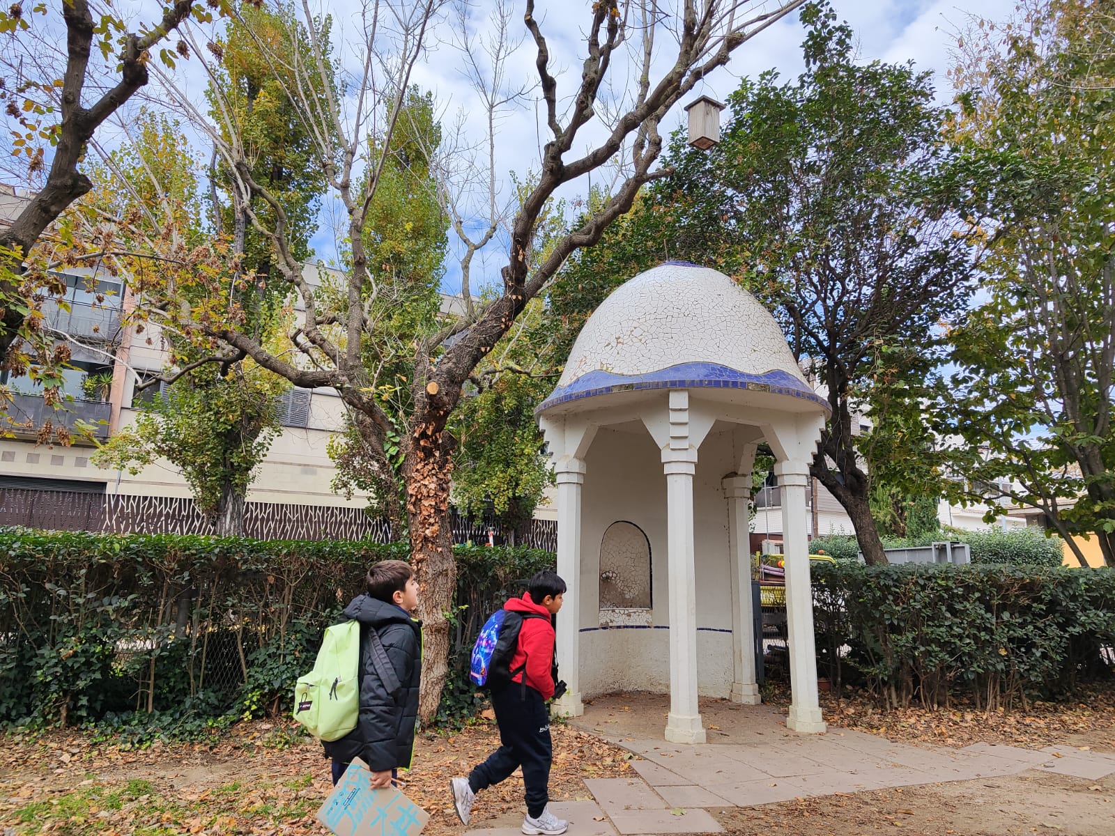 WhatsApp Image 2025-11-29 at 14.09.04 (2)