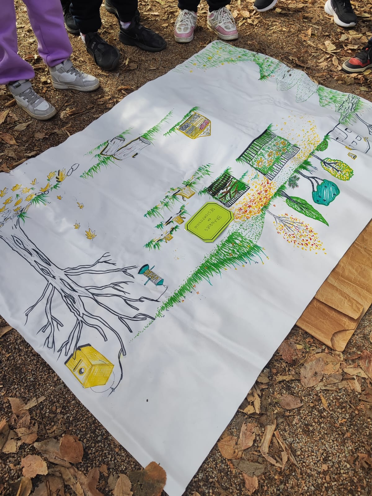 WhatsApp Image 2025-11-29 at 14.09.04 (5)